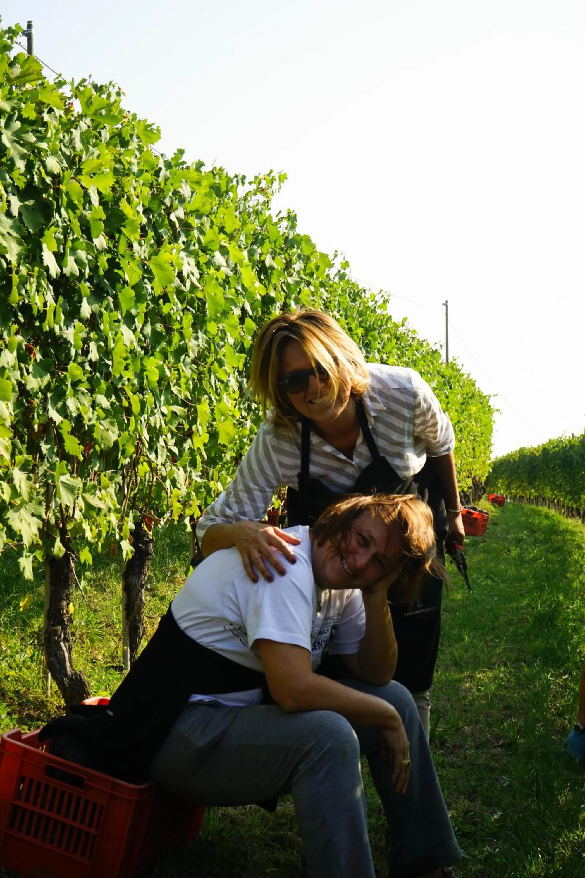 Agriturismo Il Gioco Dell'Oca