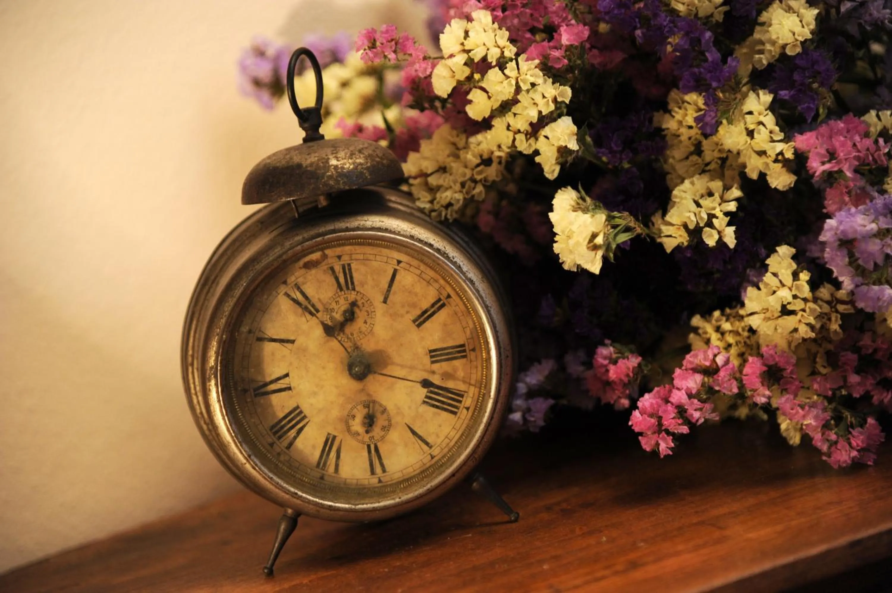 Other in Agriturismo Il Gioco Dell'Oca