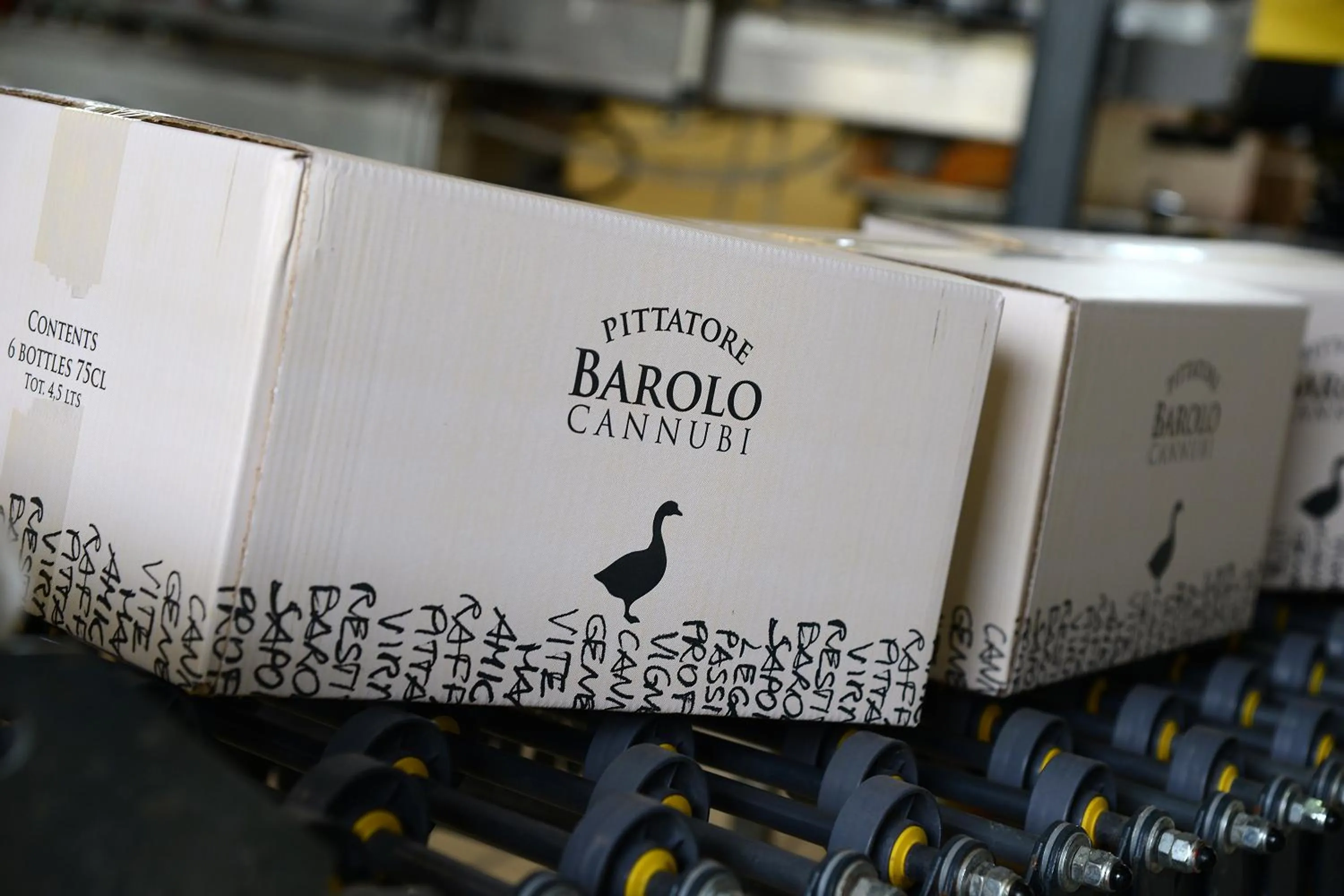 Agriturismo Il Gioco Dell'Oca