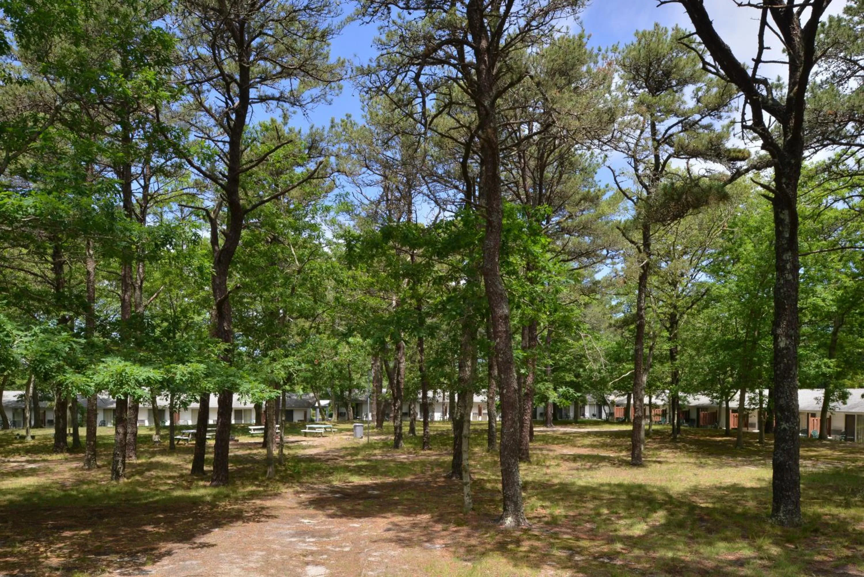 Day in Blue Dolphin Inn