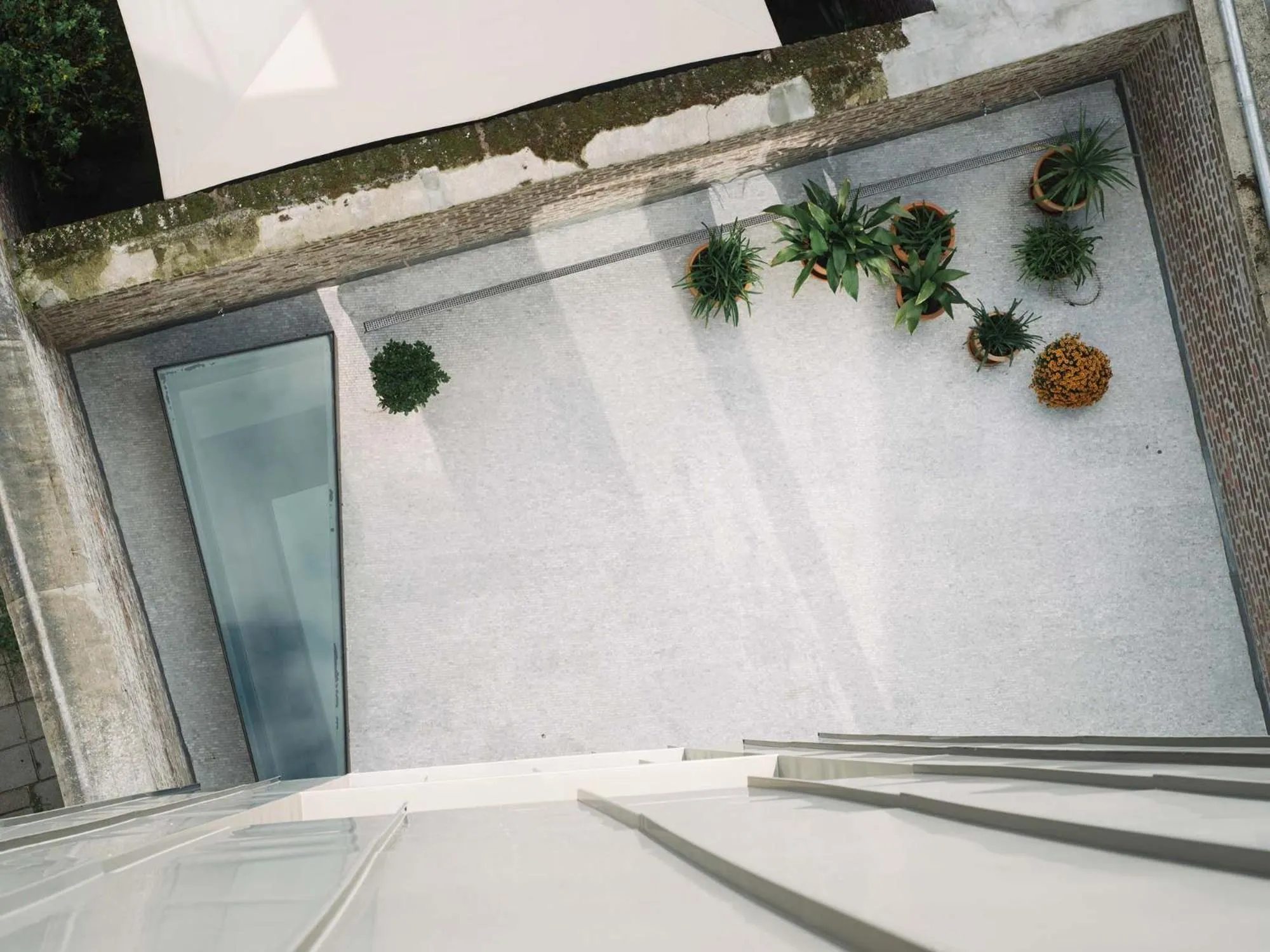 Garden view in Maison Haas Hustinx & Spa