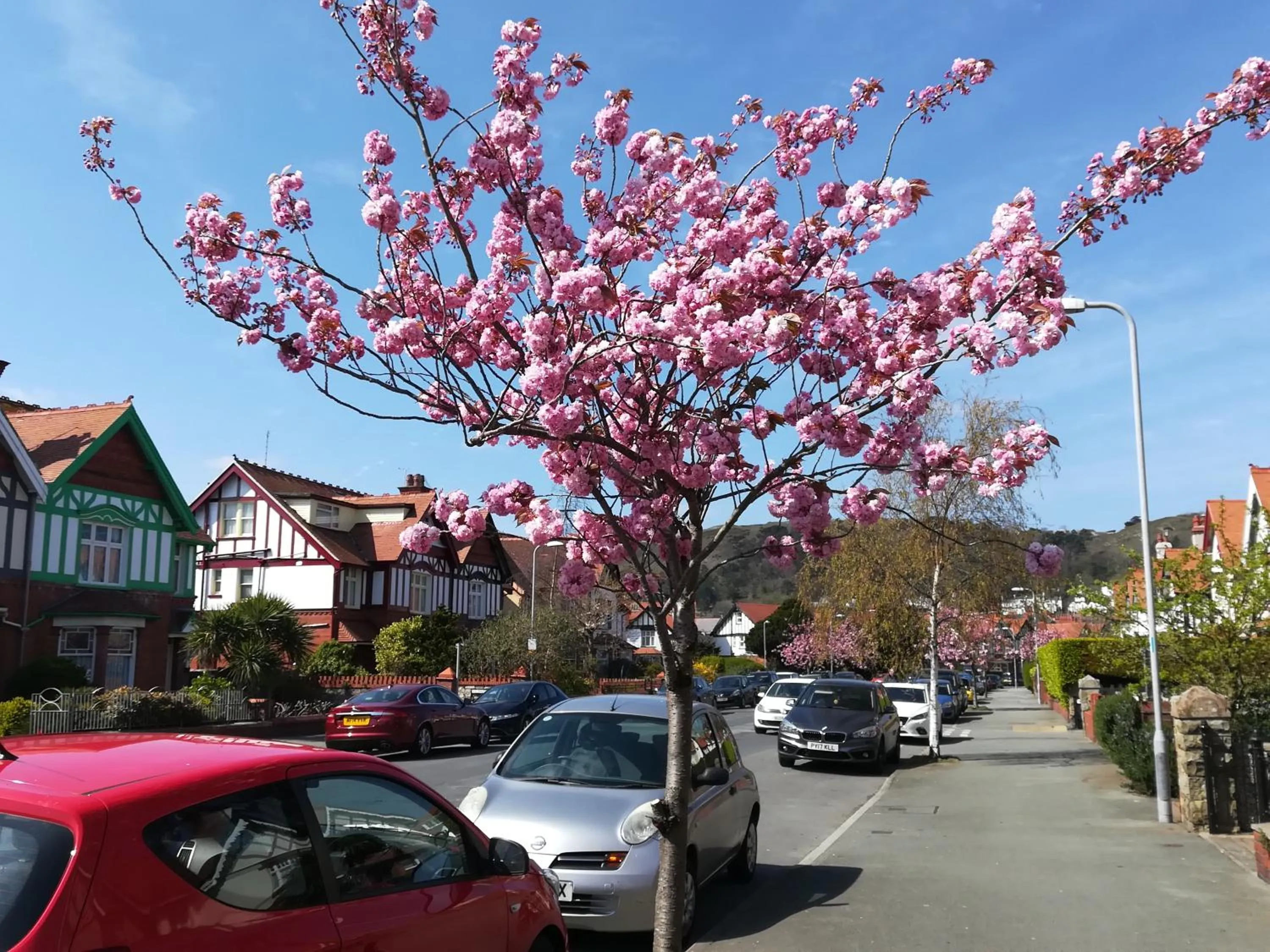 Spring in Seren Villa