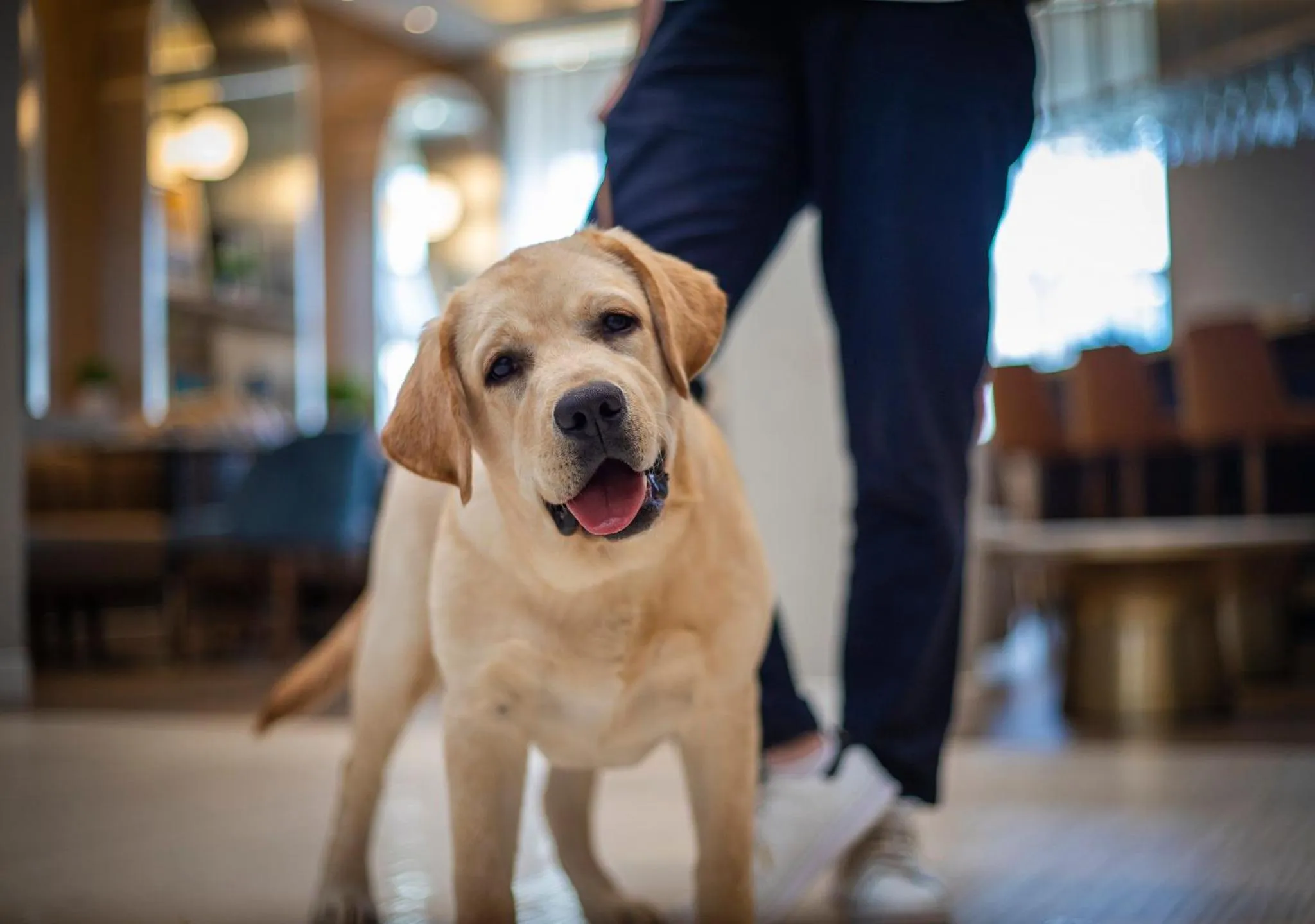 Decorative detail in voco Fiorello - LaGuardia Airport by IHG