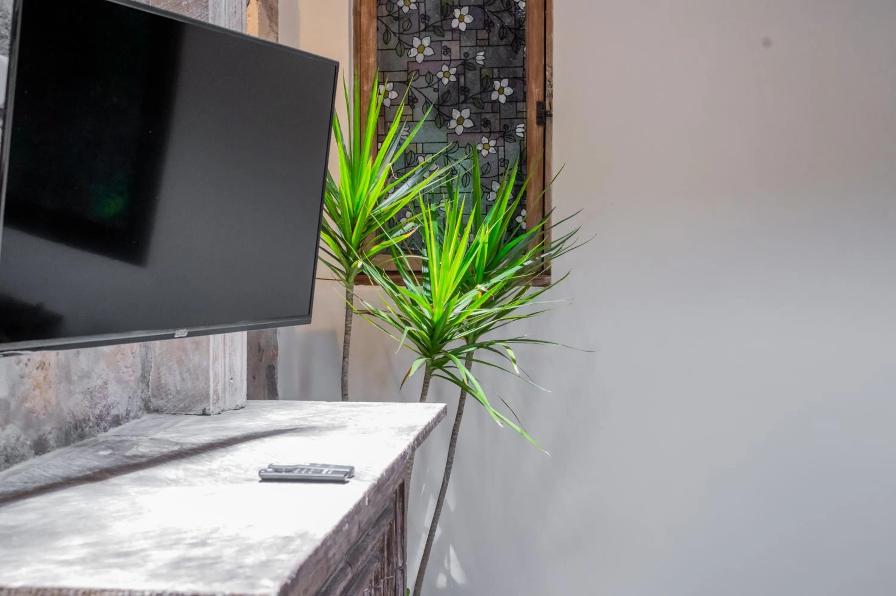 TV and multimedia in Casa Sollano 34