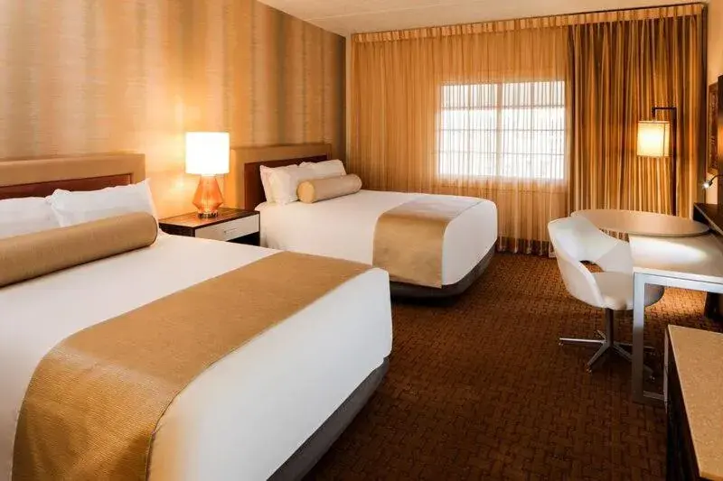 Opulence Two Queen Room in Eureka Casino Resort Opulence Two Queen Room in Eureka Casino Resort