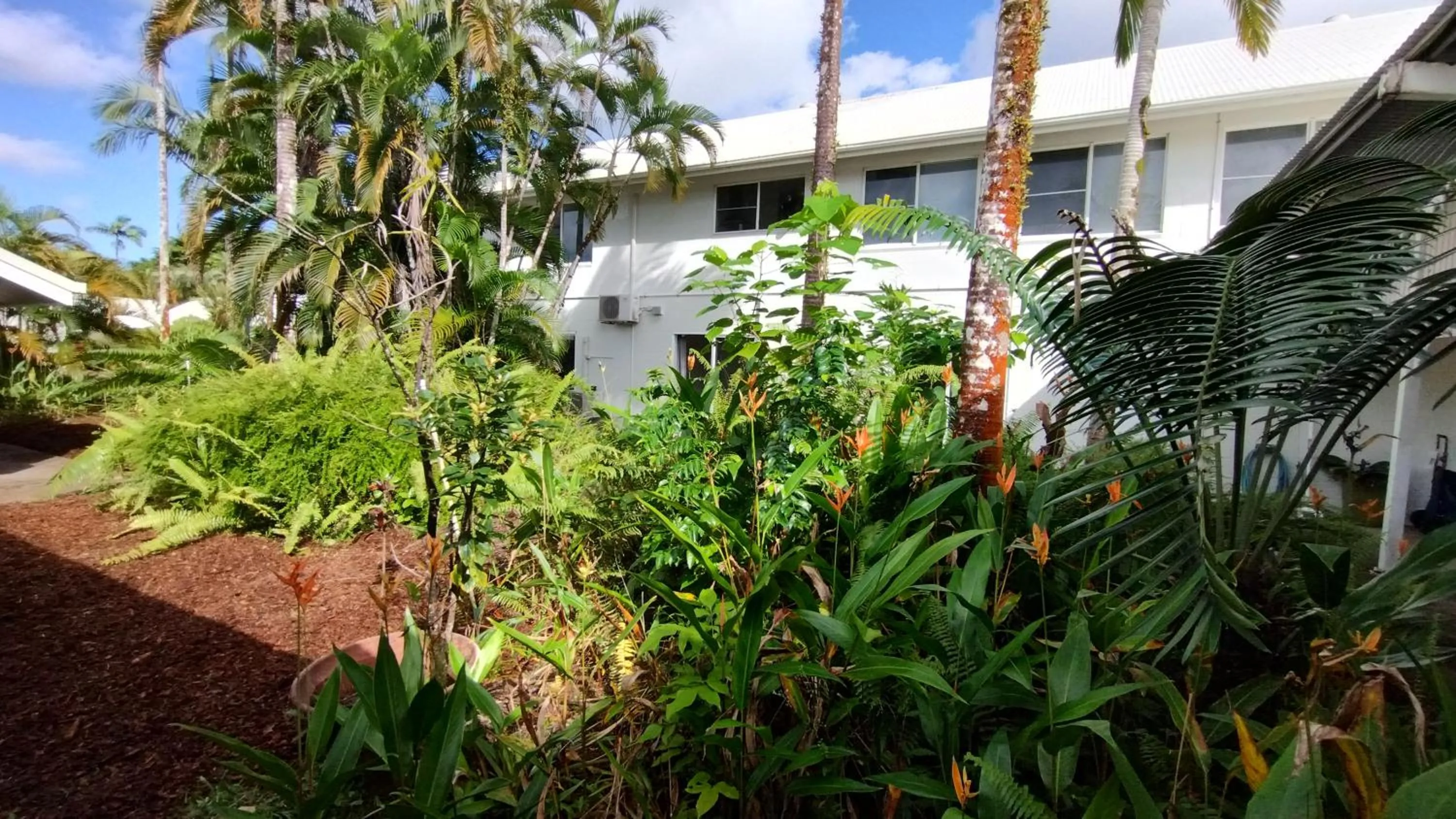 Garden in Tully Motel