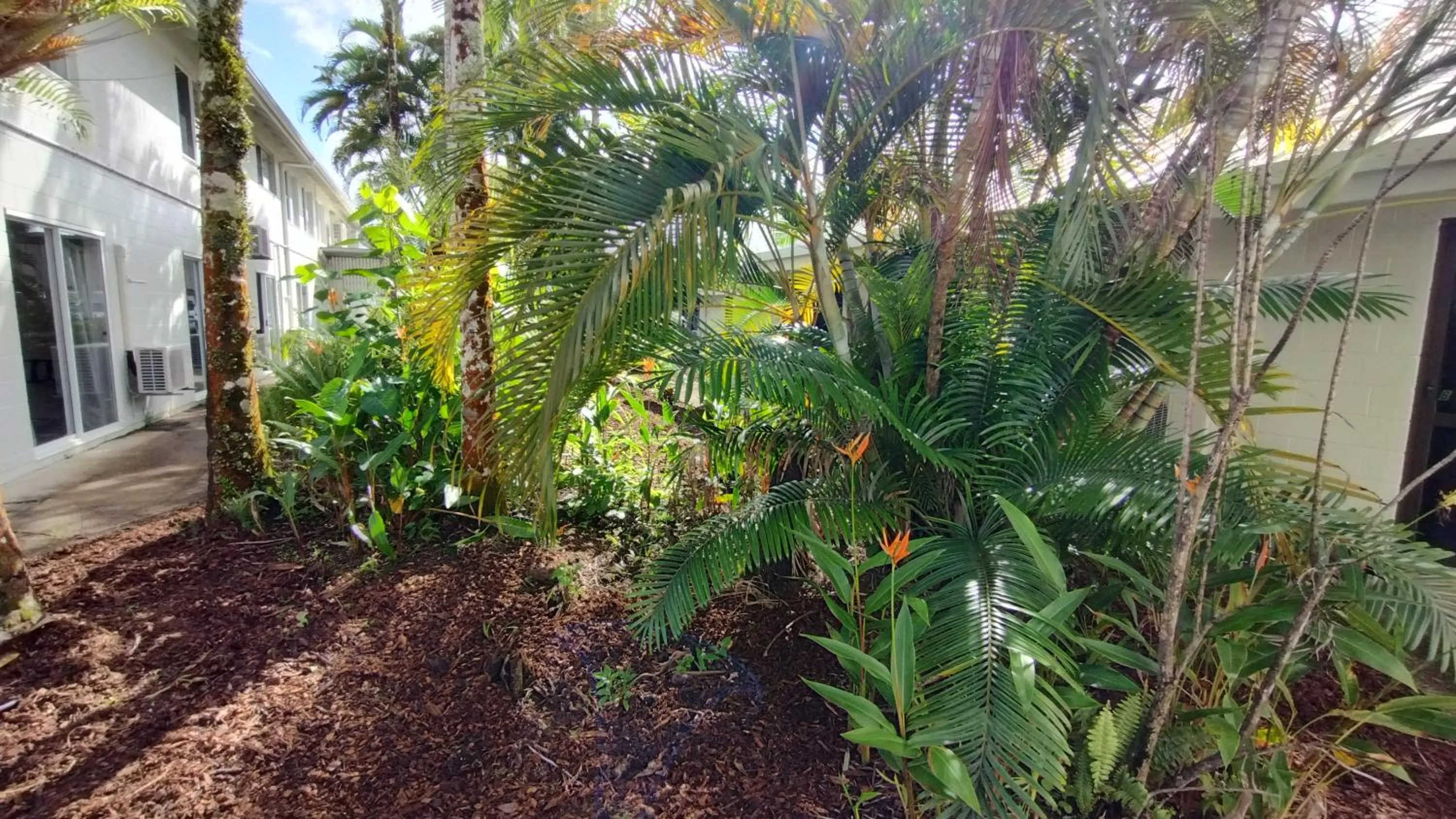 Garden in Tully Motel
