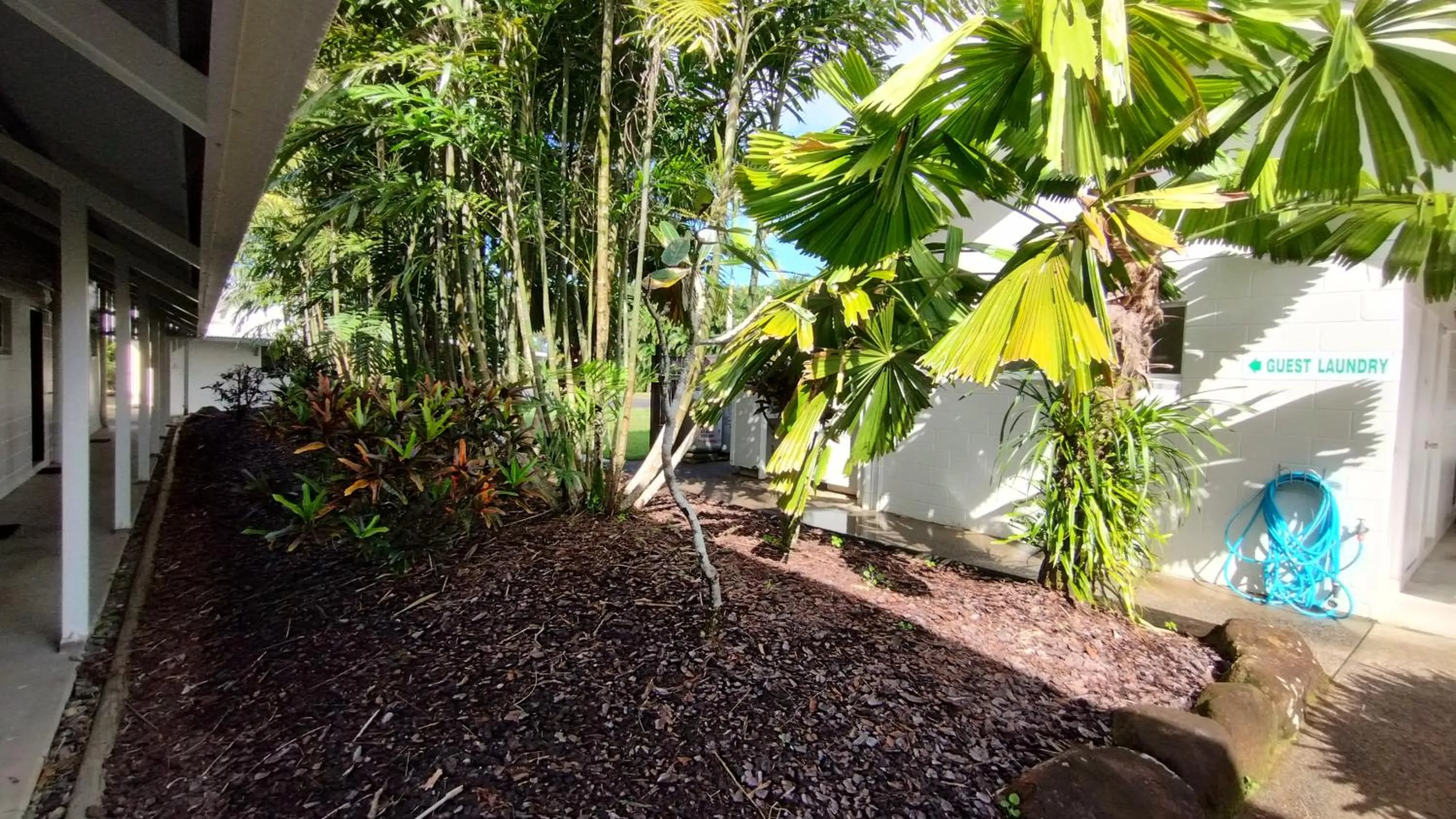 Garden in Tully Motel