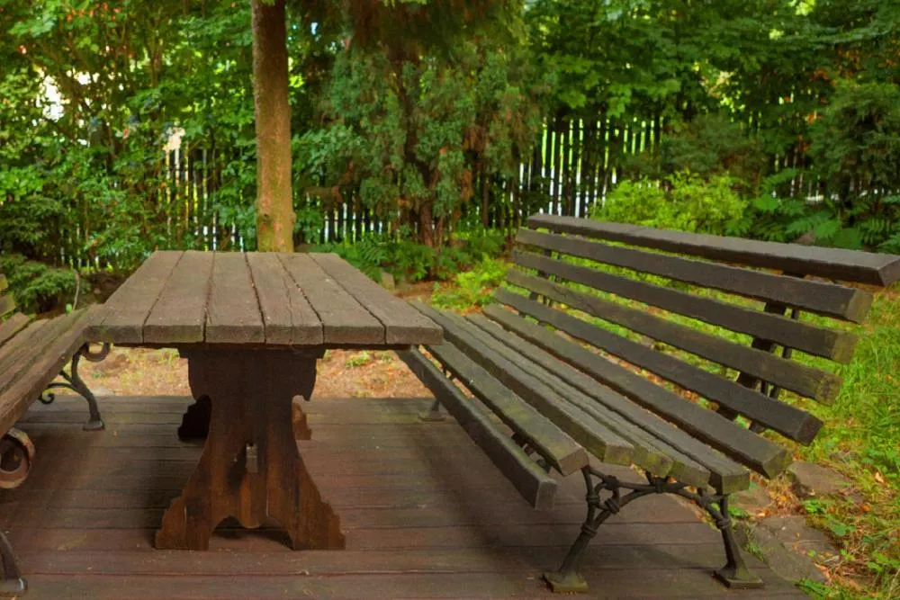 Garden in KrakowHouse