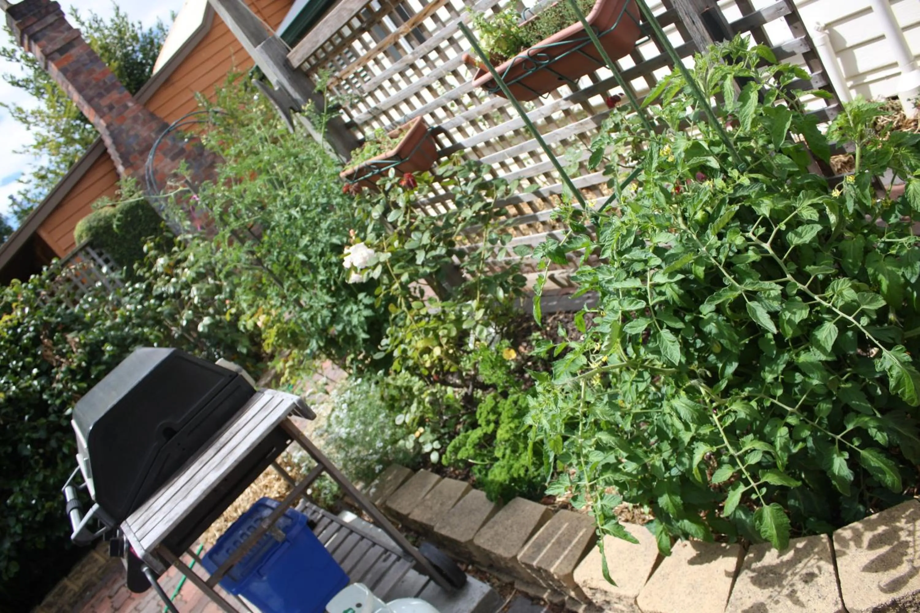 Westbury Gingerbread Cottages