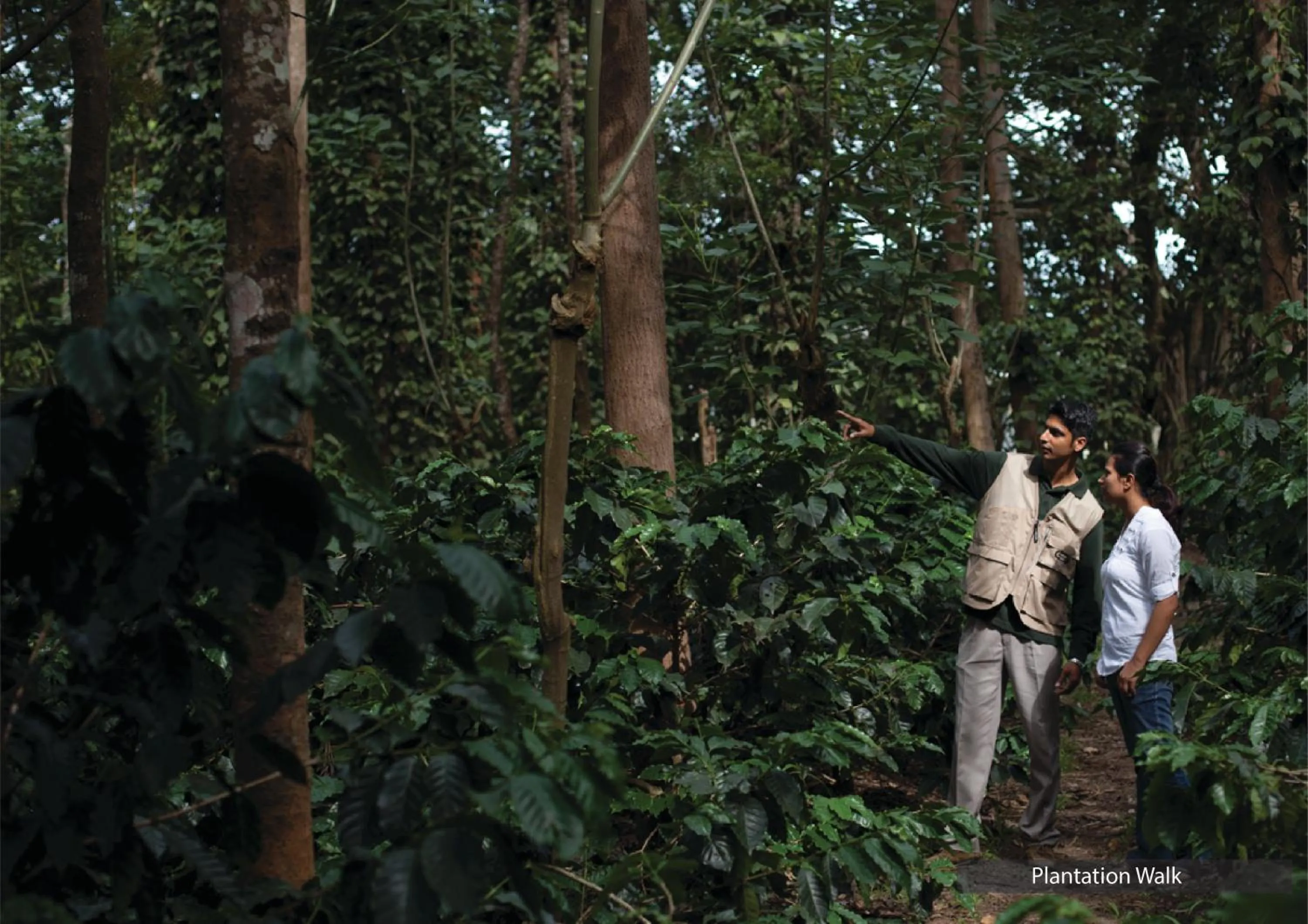 The Serai Chickmagalur