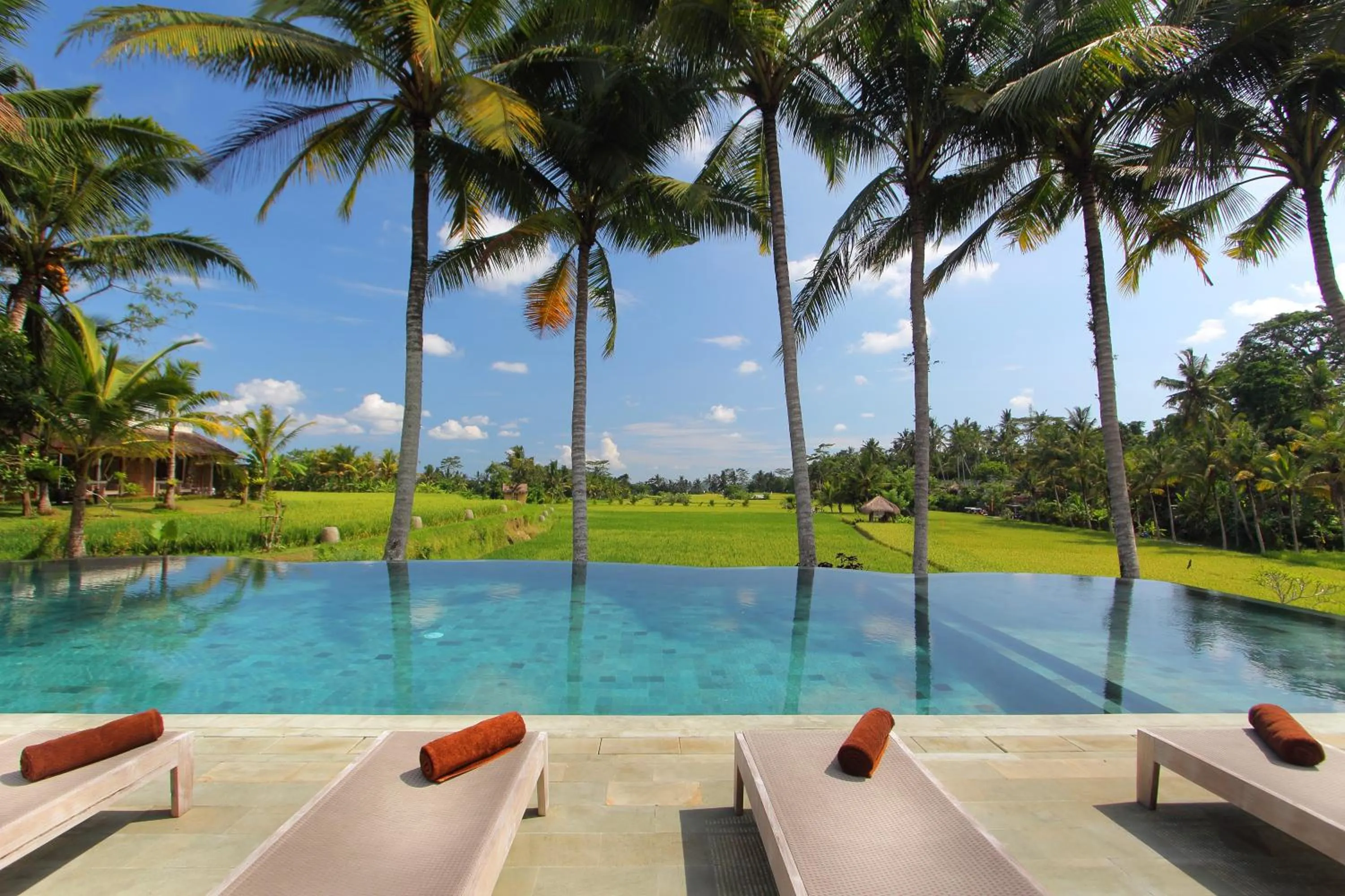 Swimming pool in MATHIS Retreat Ubud