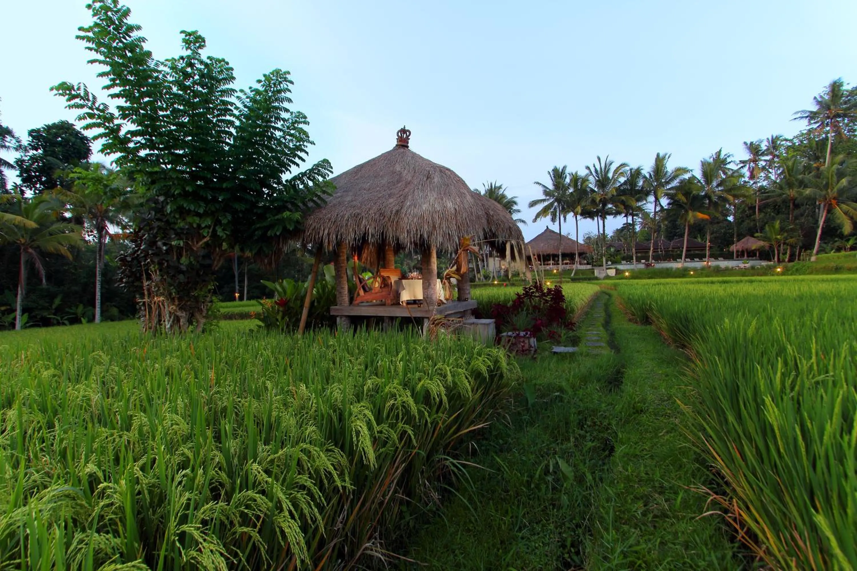 Natural landscape in MATHIS Retreat Ubud