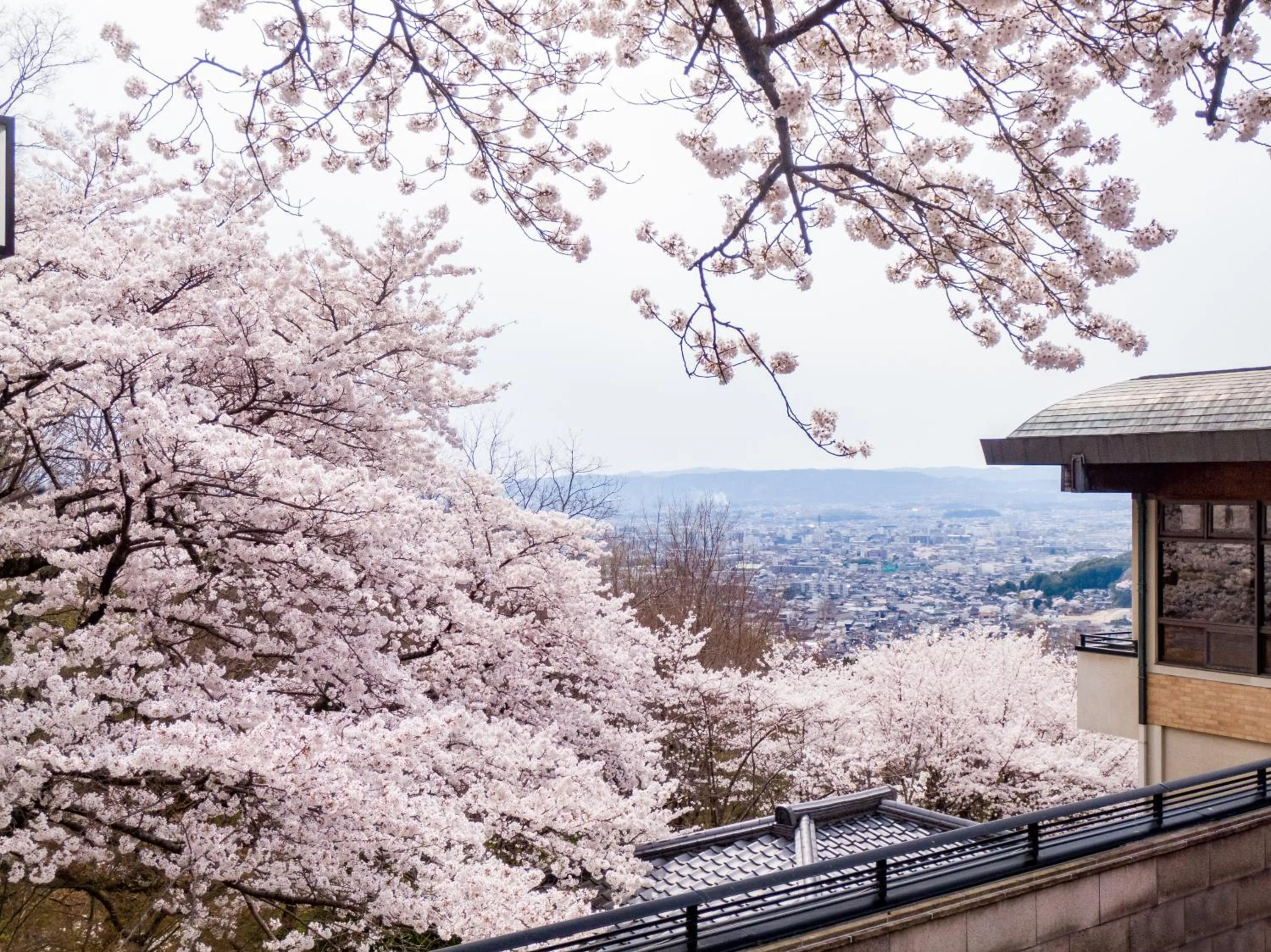 Spring in ANDO HOTEL NARA Wakakusayama -DLIGHT LIFE & HOTELS-