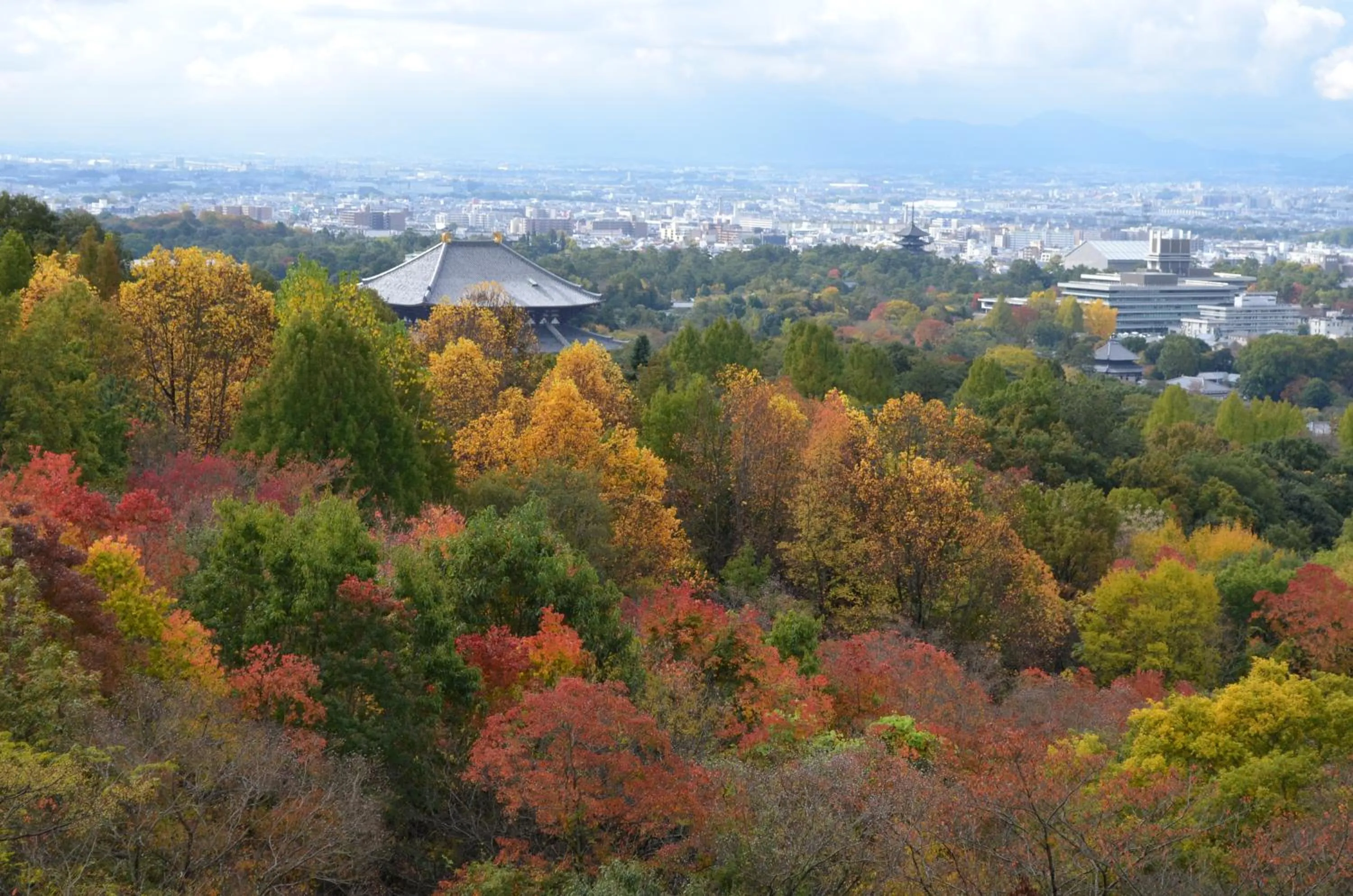 Natural landscape in ANDO HOTEL NARA Wakakusayama -DLIGHT LIFE & HOTELS-