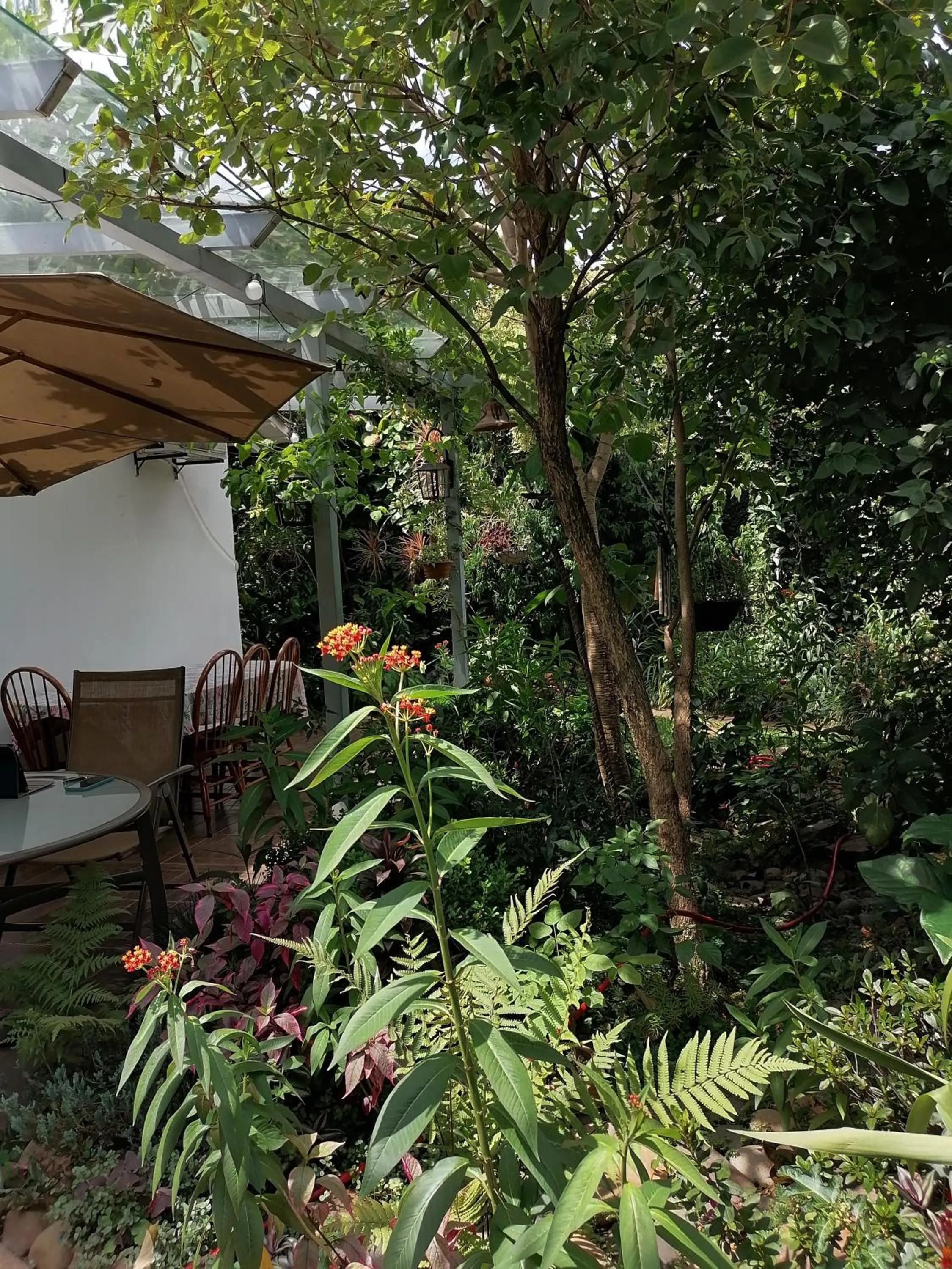 Natural landscape in Granados