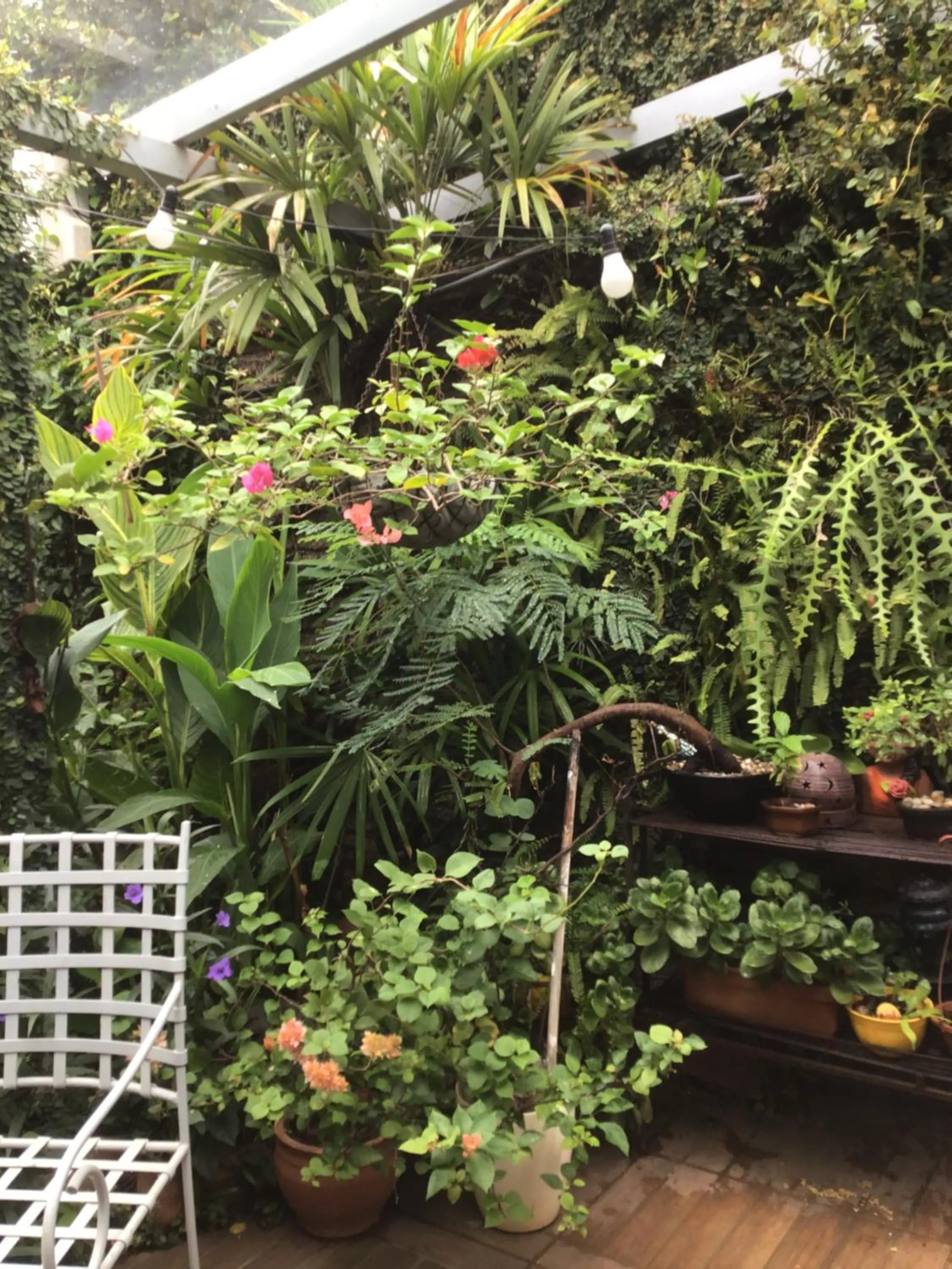 Garden view in Granados