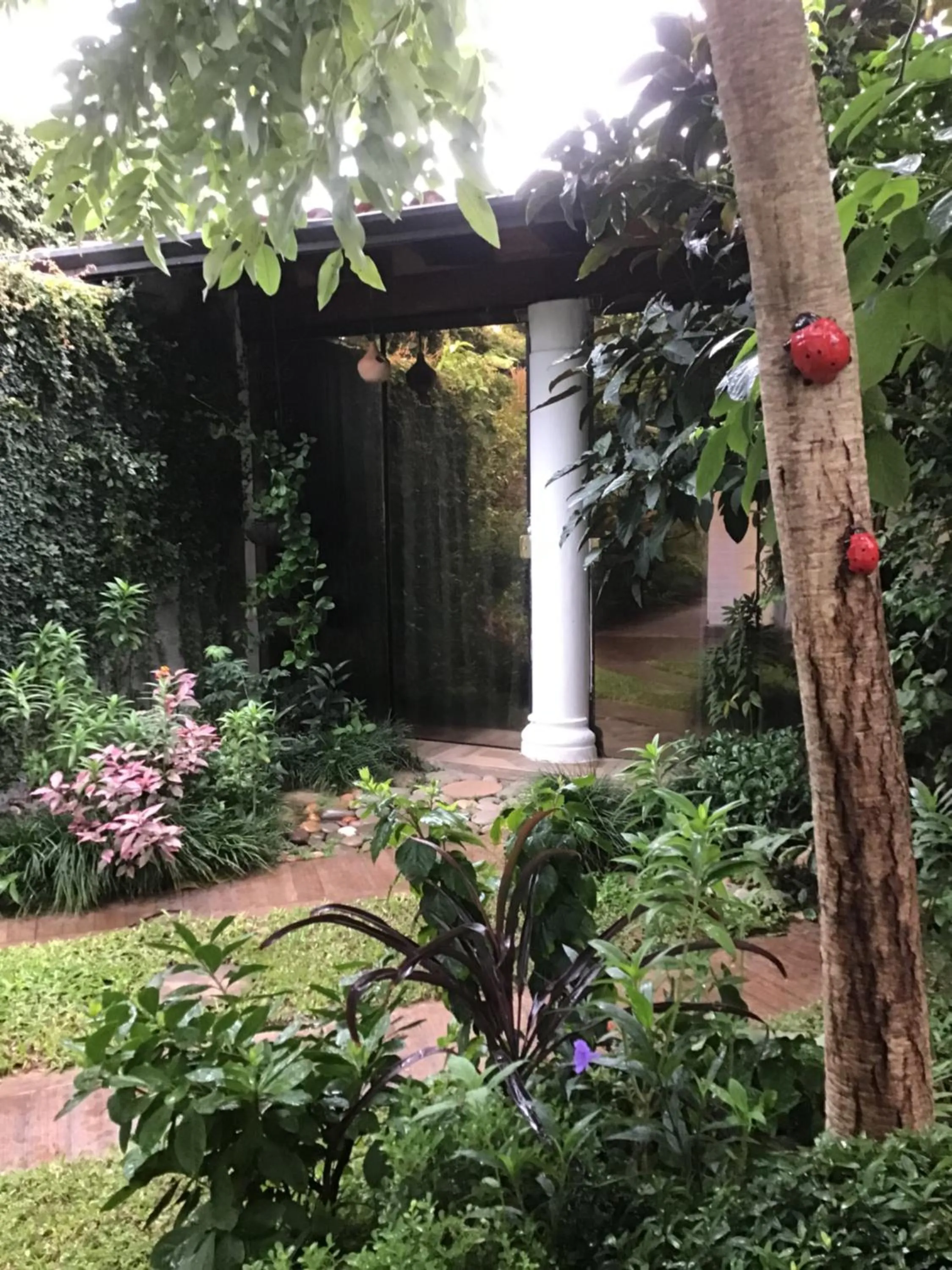 Property building in Granados