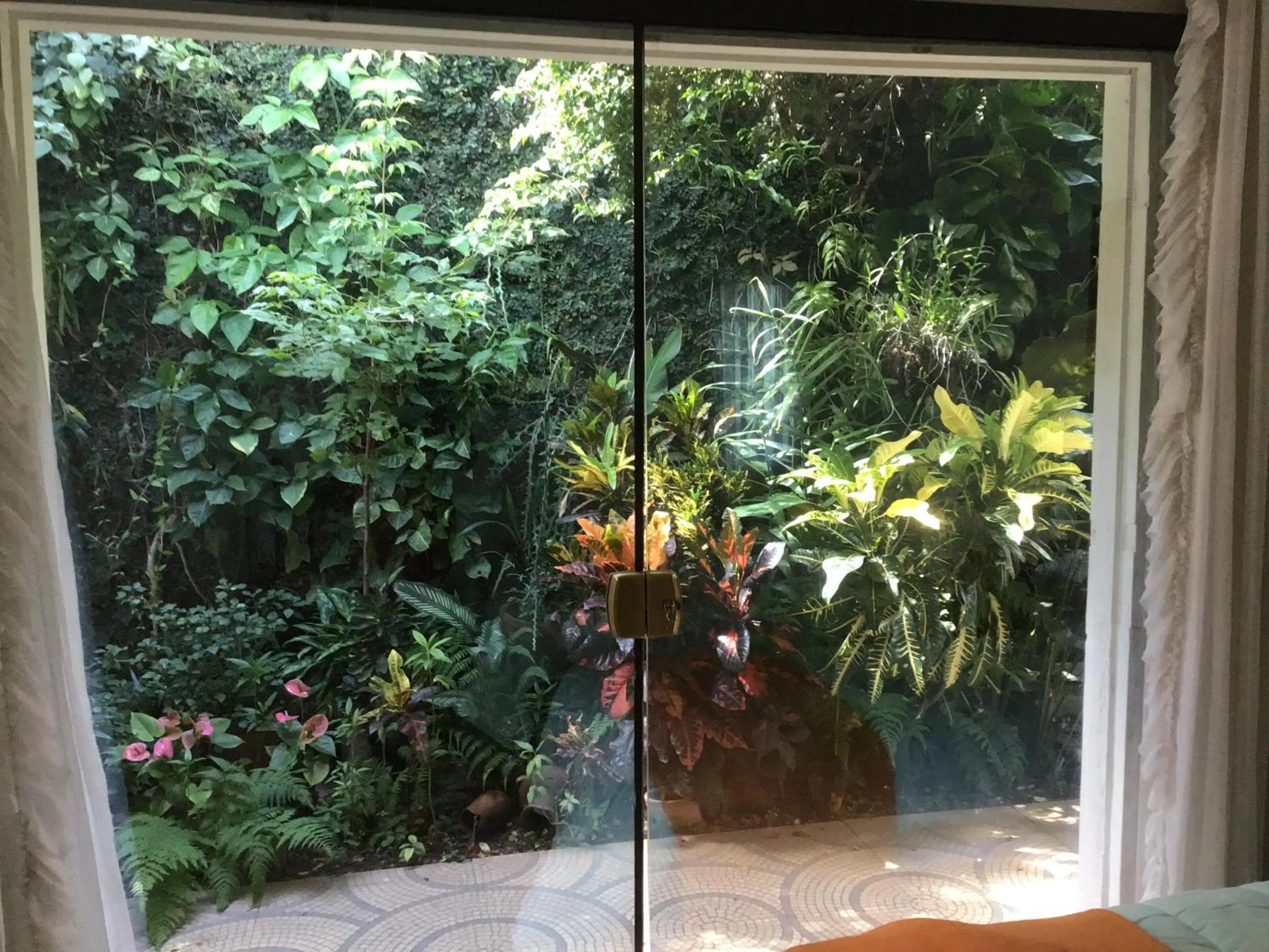 Natural landscape in Granados