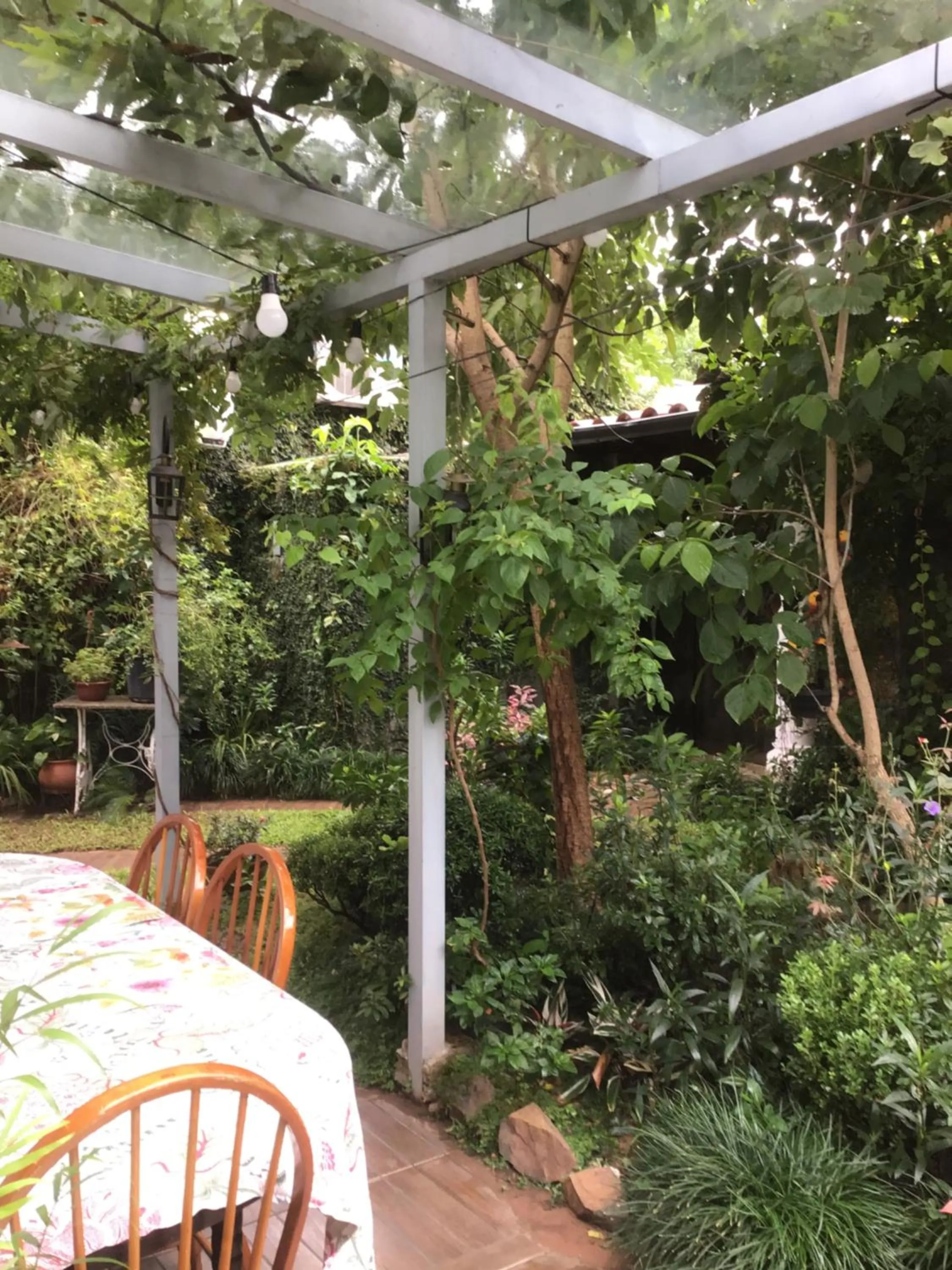 Breakfast in Granados