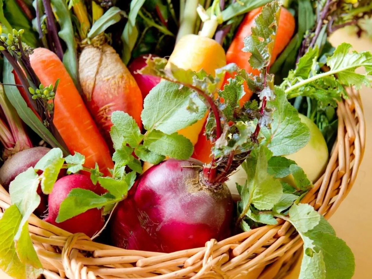 Food in Yugawara Retreat Goen no Mori