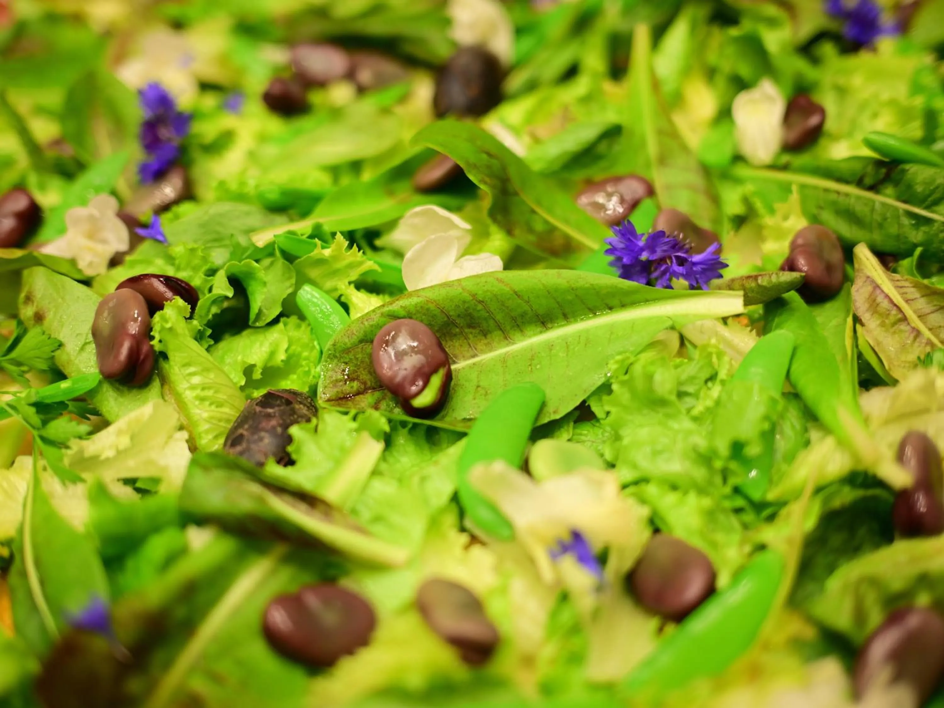 Food and drinks in Yugawara Retreat Goen no Mori