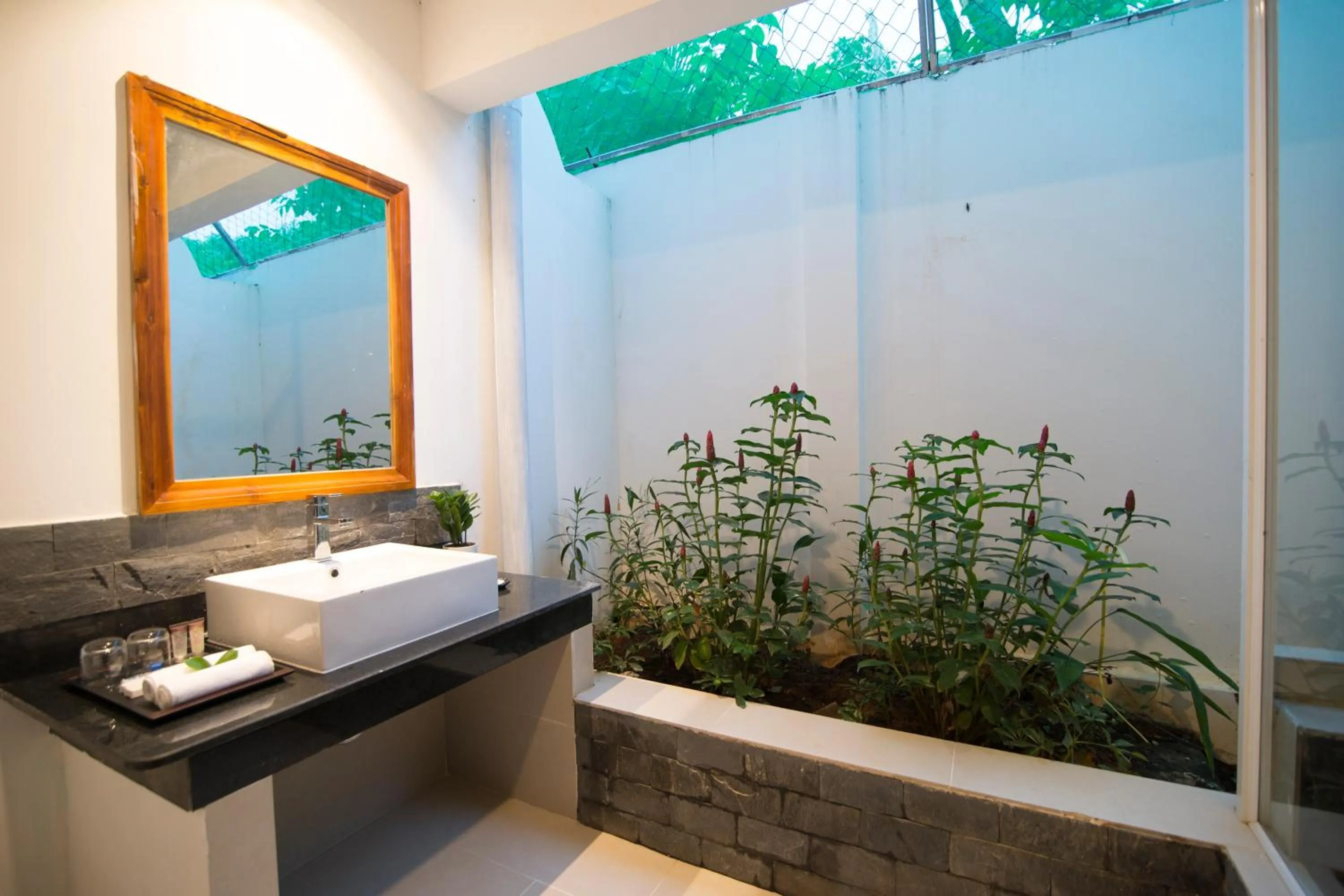 Natural landscape in Palma Resort