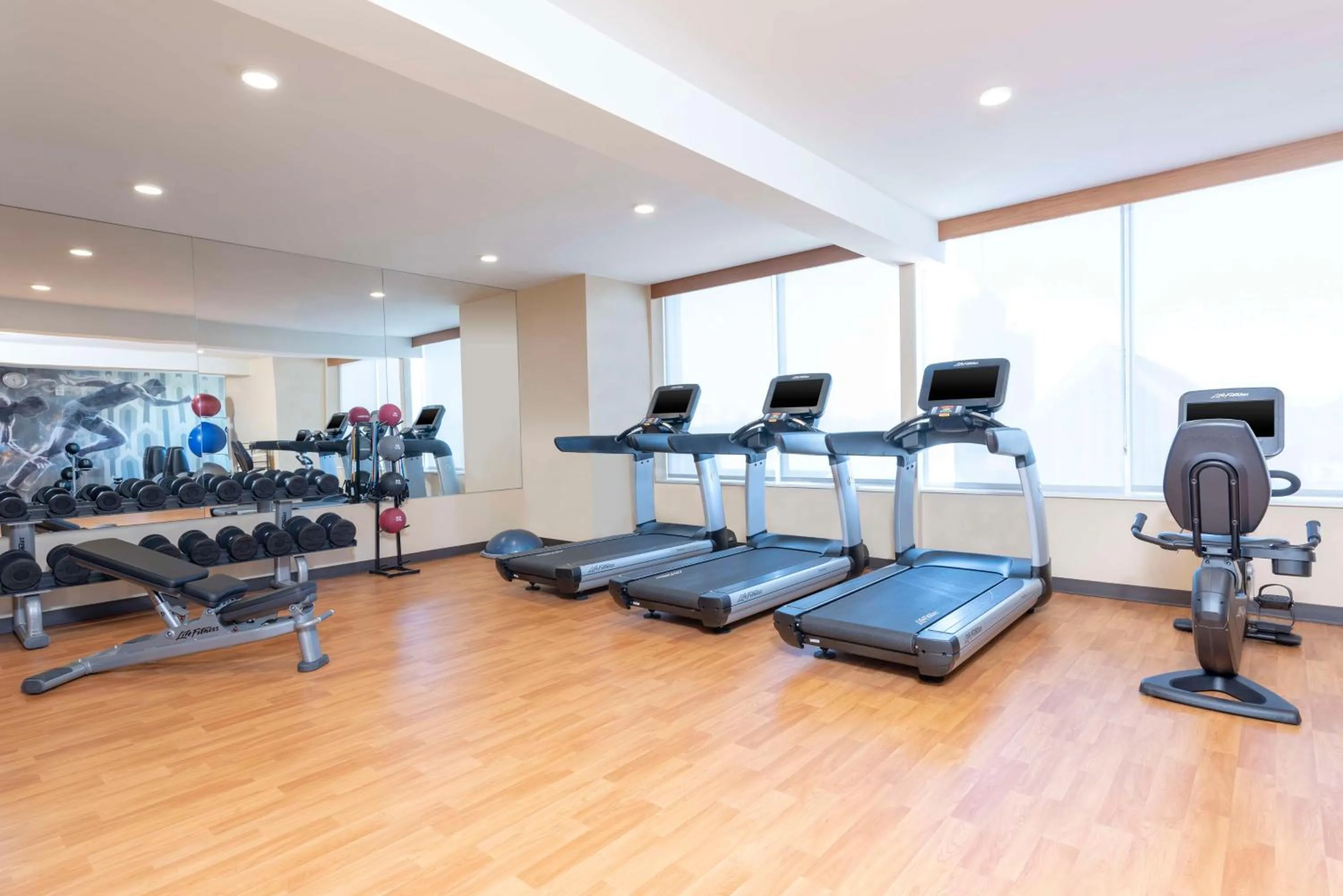 Fitness centre/facilities in Hyatt Place Detroit/Royal Oak