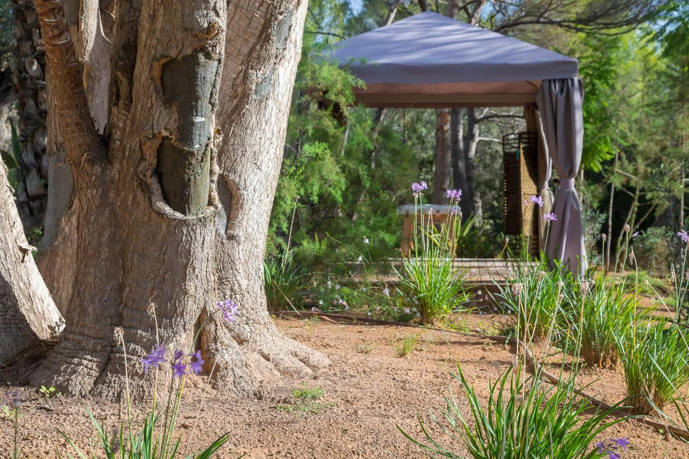 Massage in Casbah Formentera Hotel & Restaurant