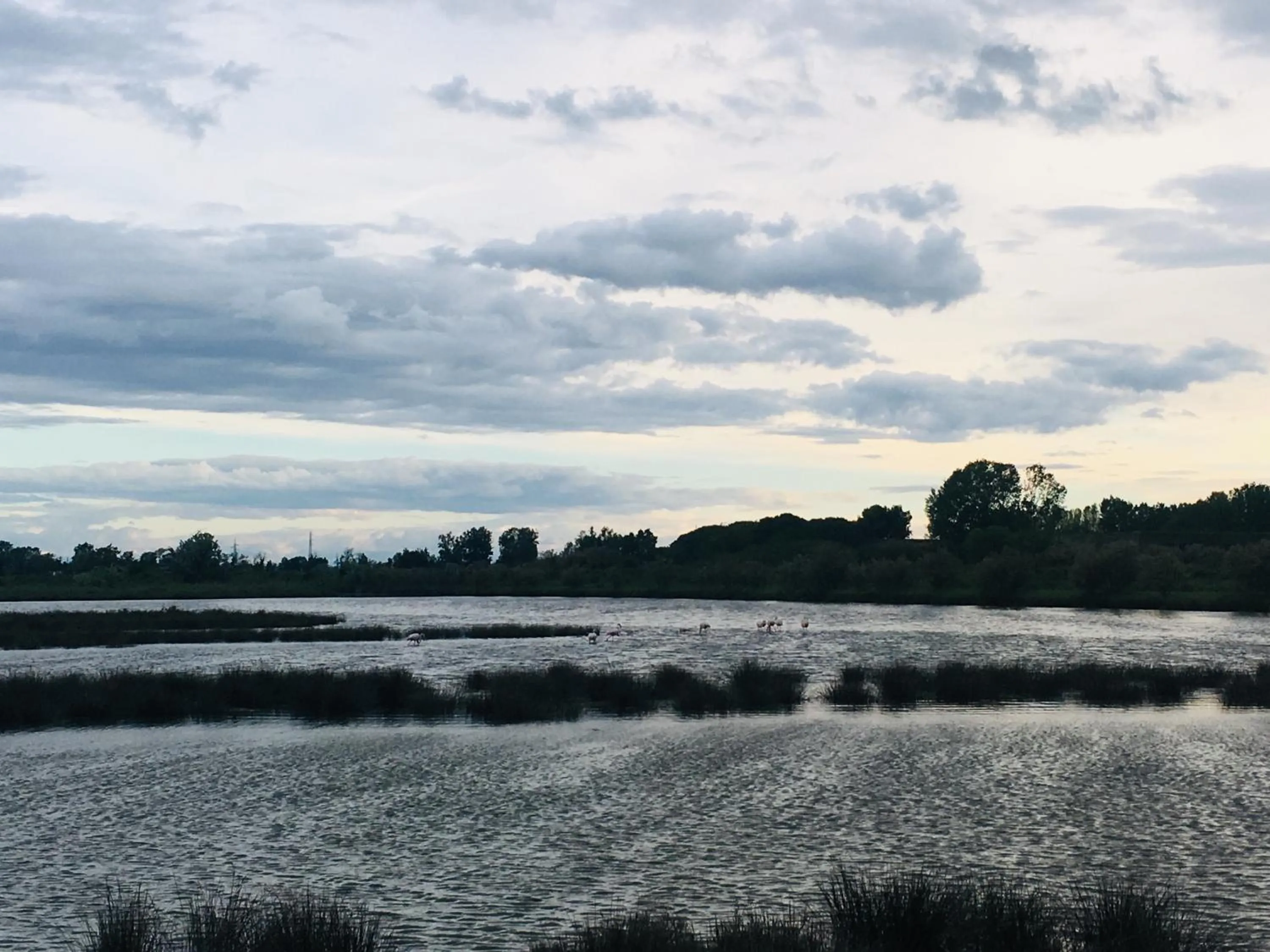 Activities in Michelangelo Holiday & Family Resort