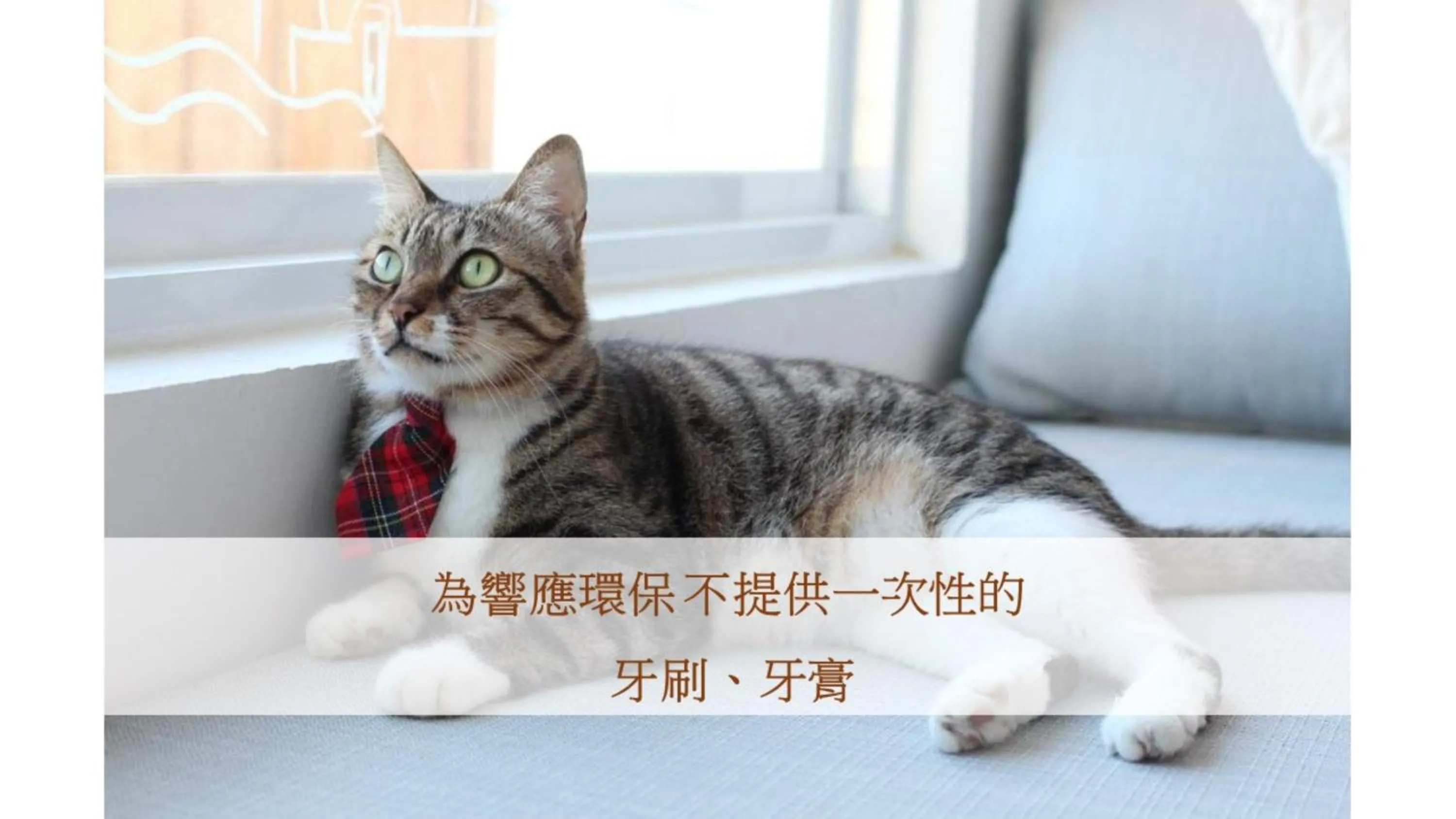 Text overlay in Cat at Greece