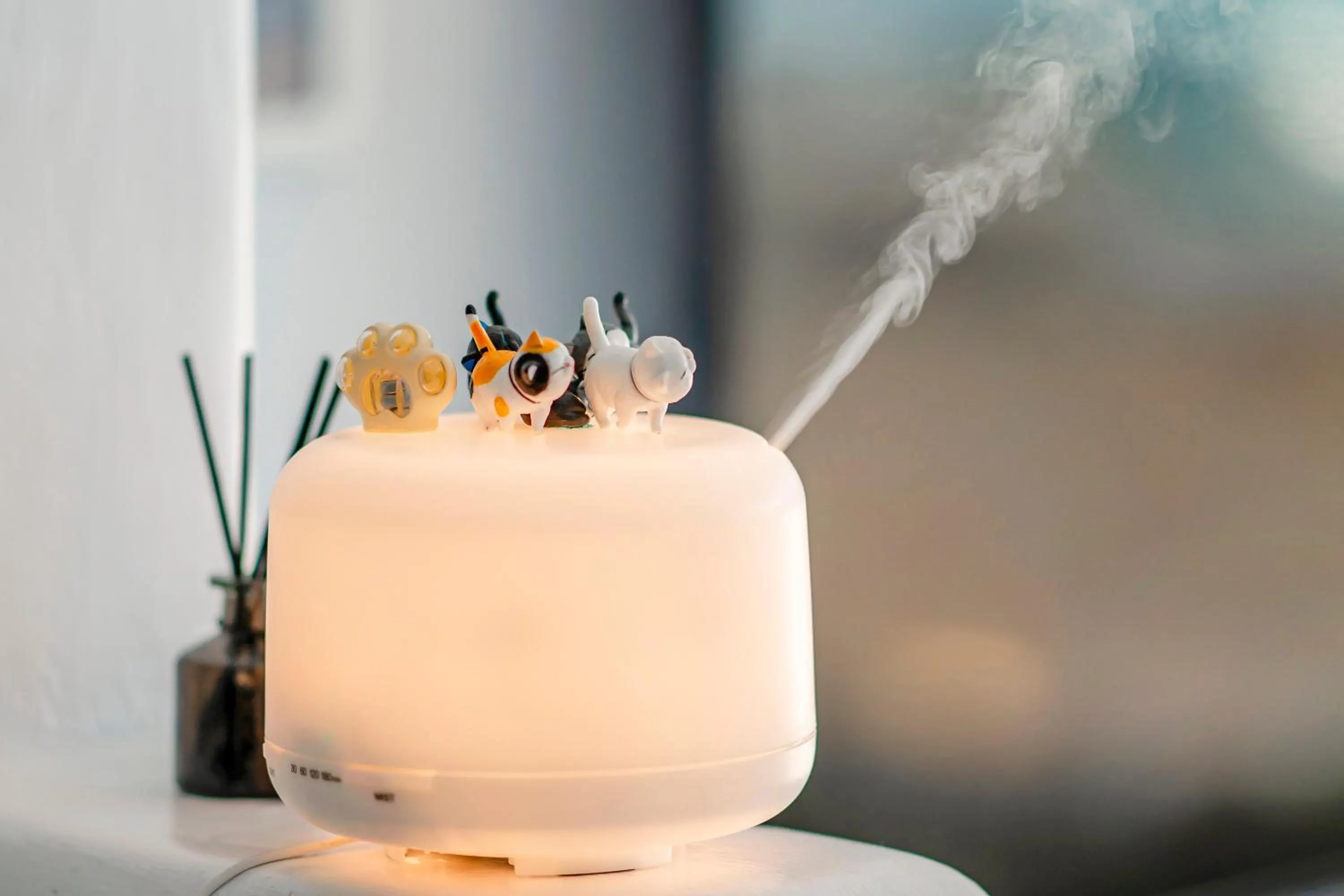 Decorative detail in Cat at Greece