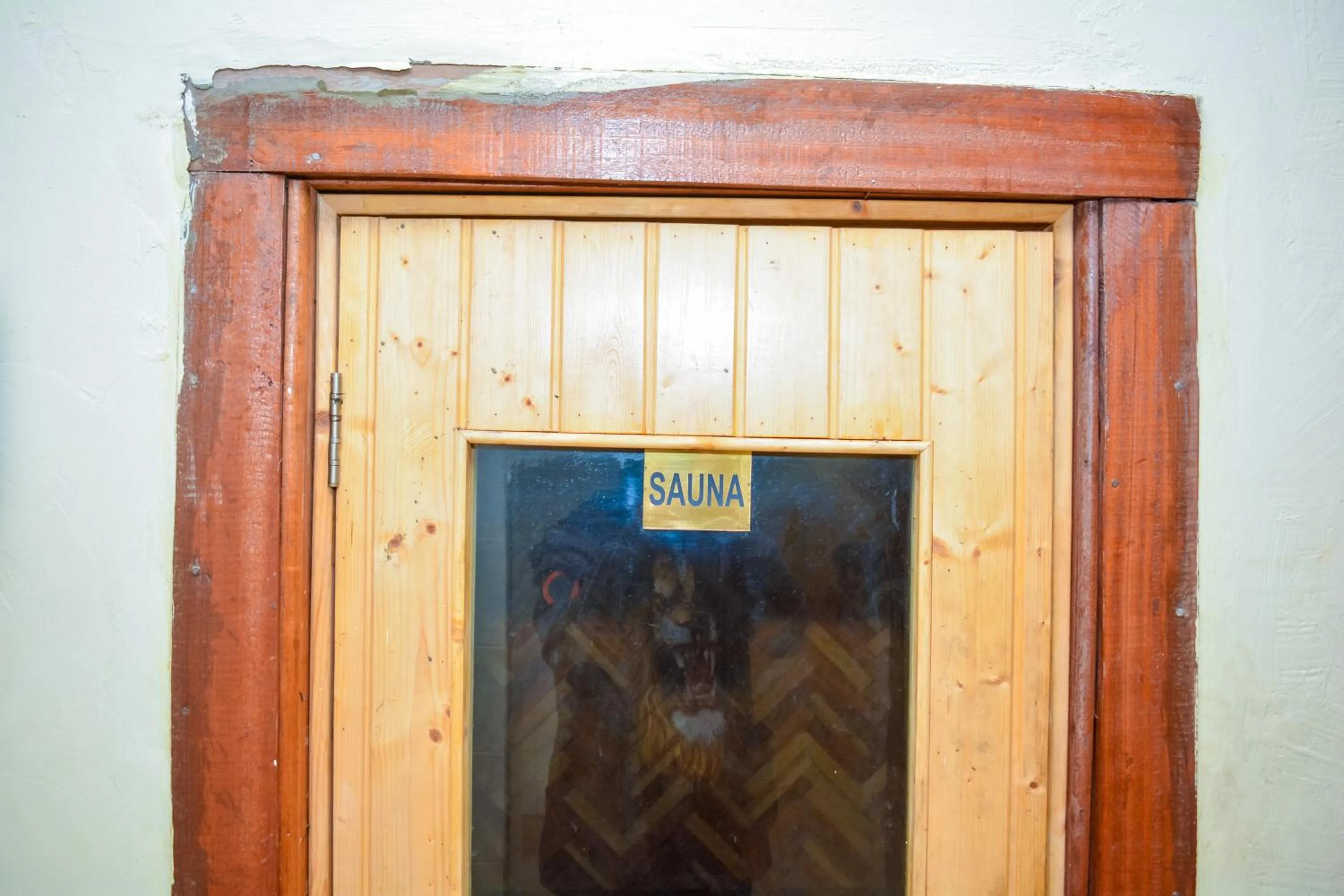 Sauna in Omega Gardens Hotel