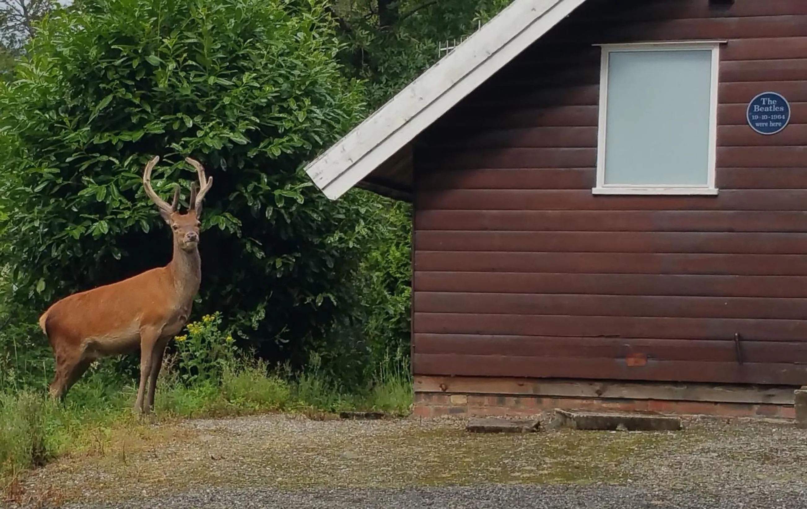 Other in The Four Seasons Hotel