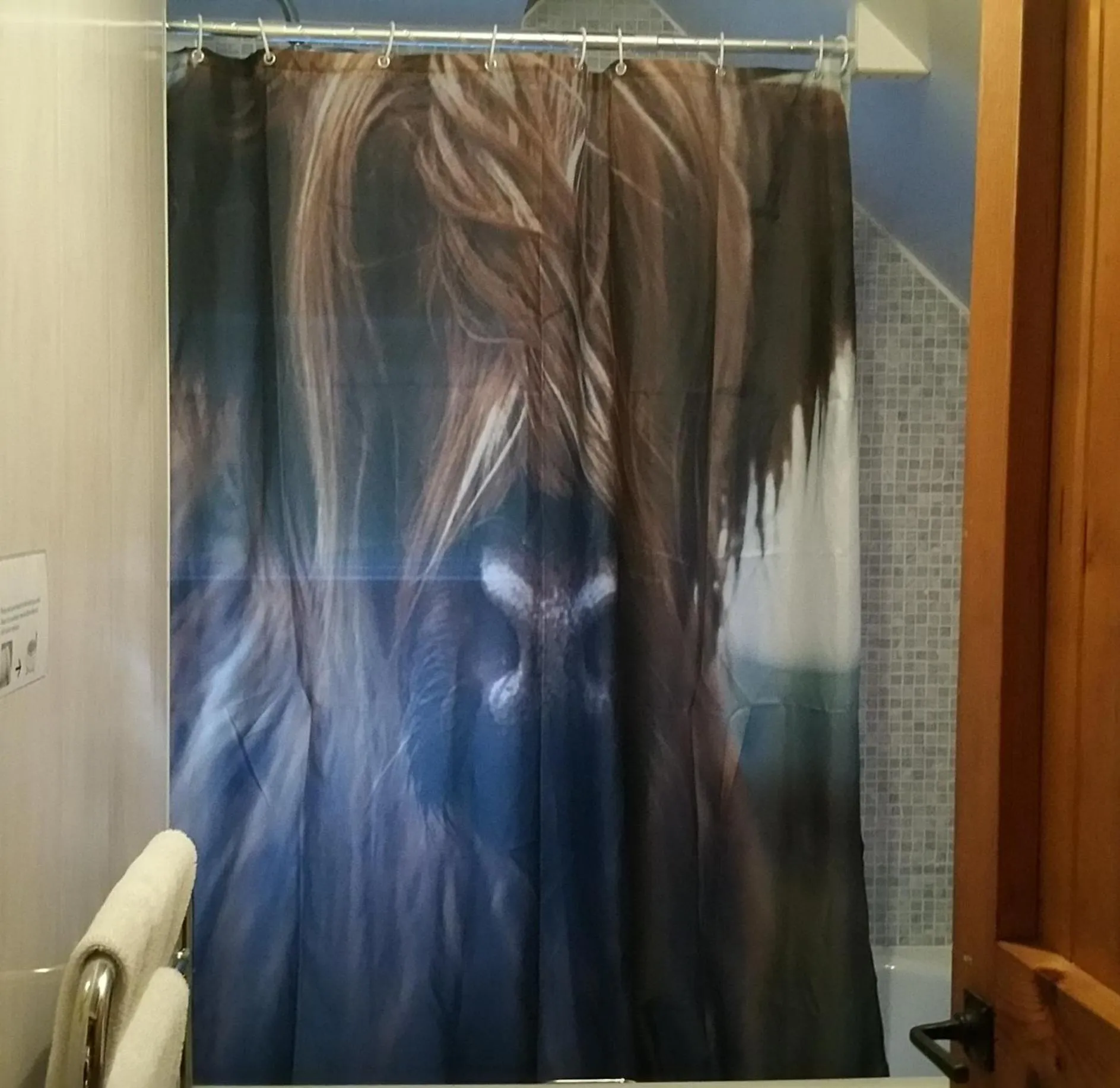 Bathroom in The Four Seasons Hotel