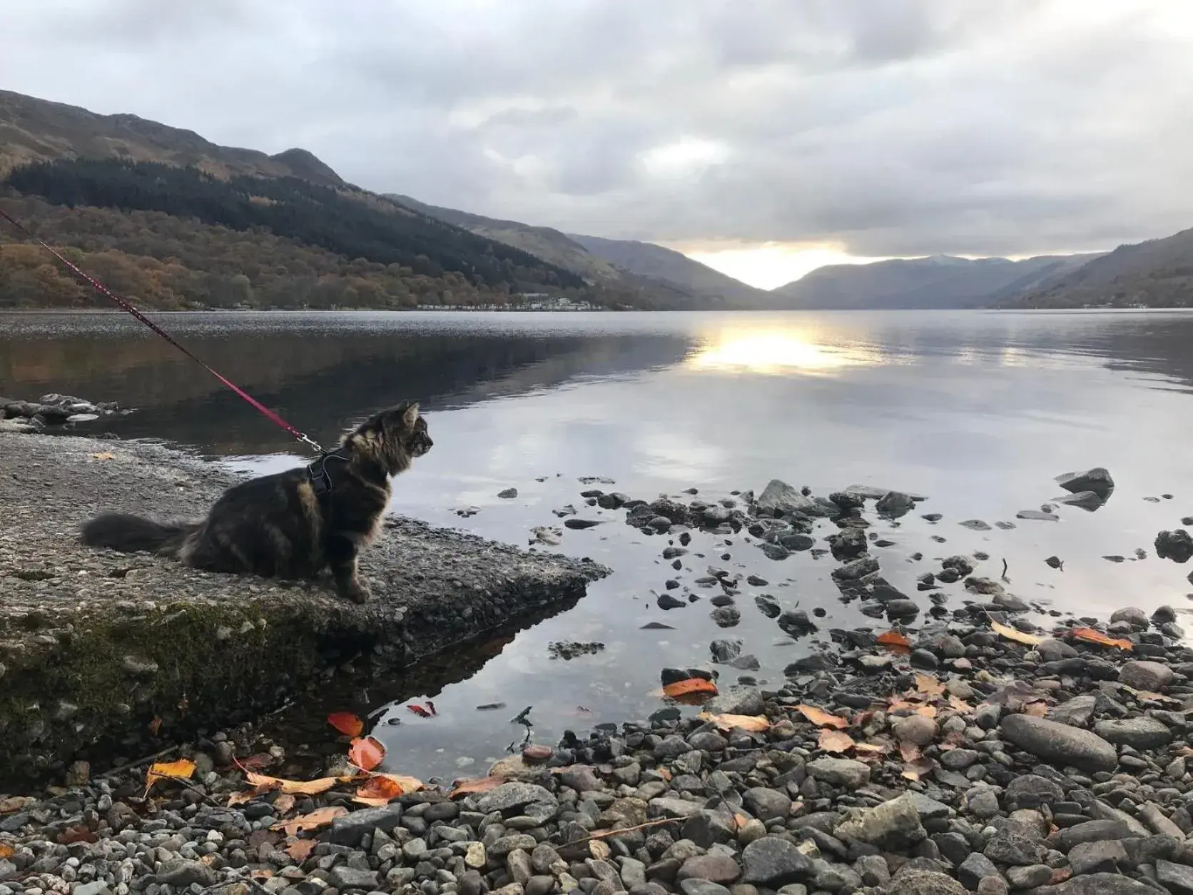 Deluxe Double with Lake View - Pet friendly in The Four Seasons Hotel Deluxe Double with Lake View - Pet friendly in The Four Seasons Hotel