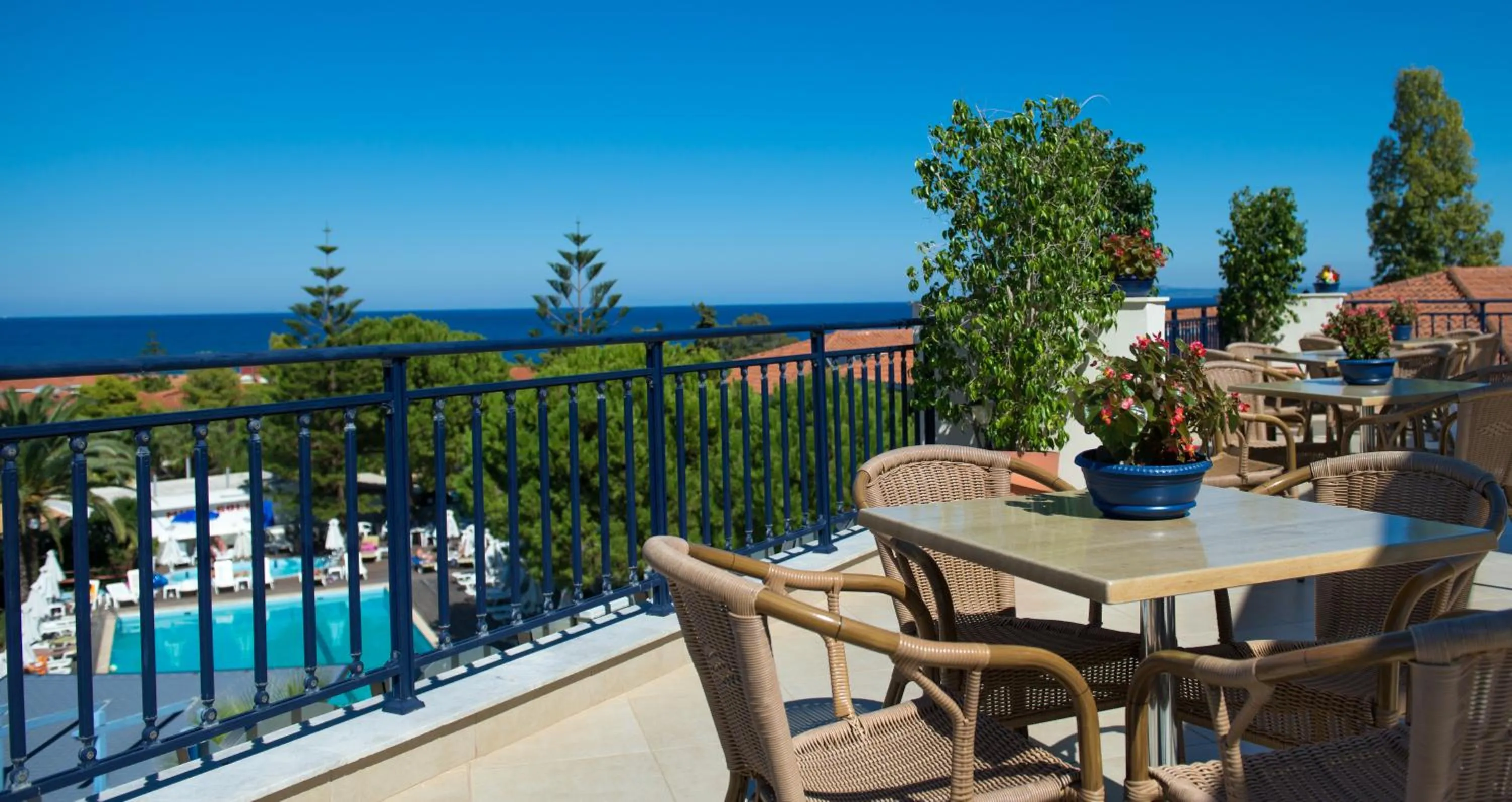 Dinner in Contessa Hotel