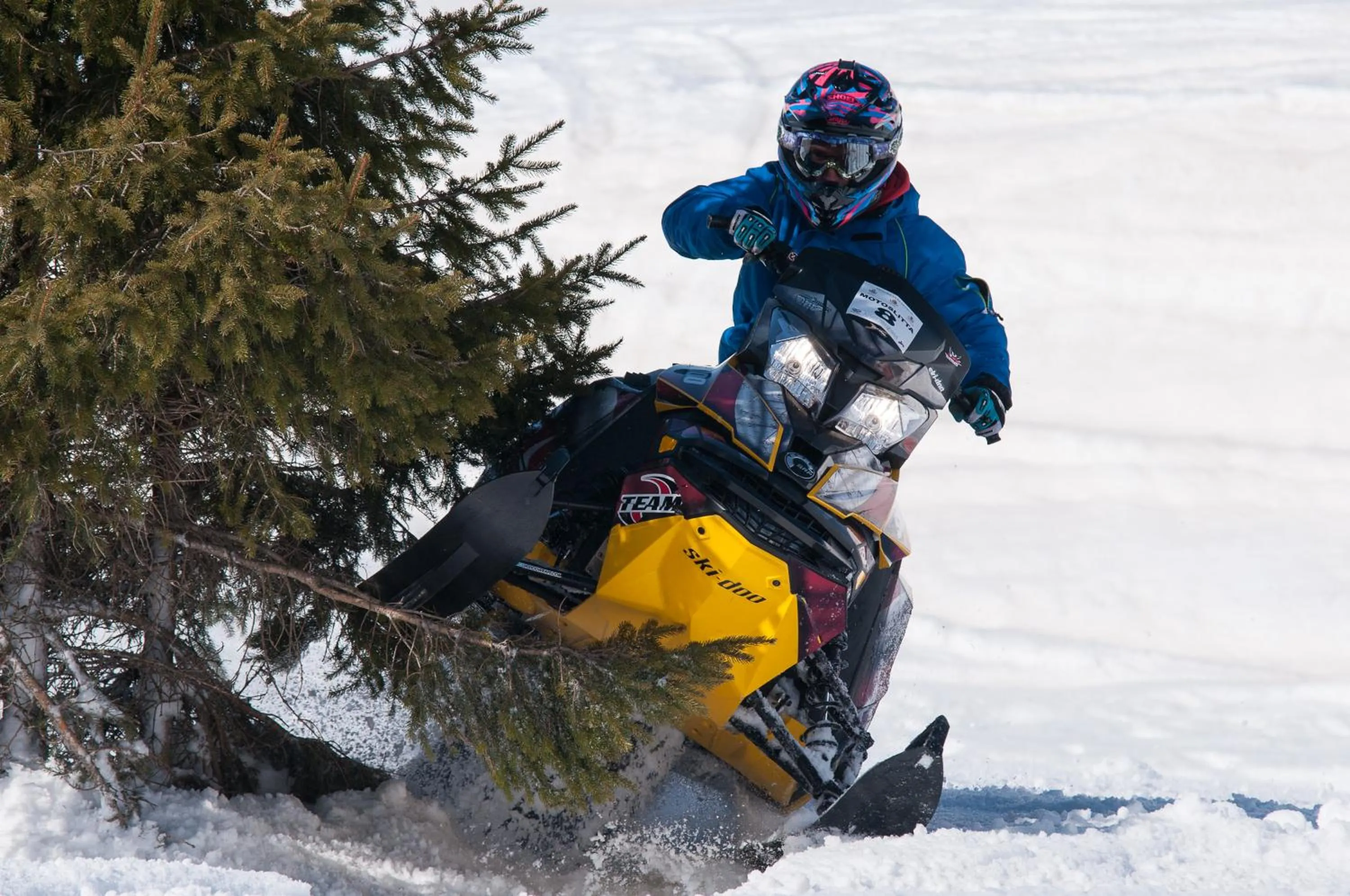 Skiing in Albergo Legazzuolo Montecampione