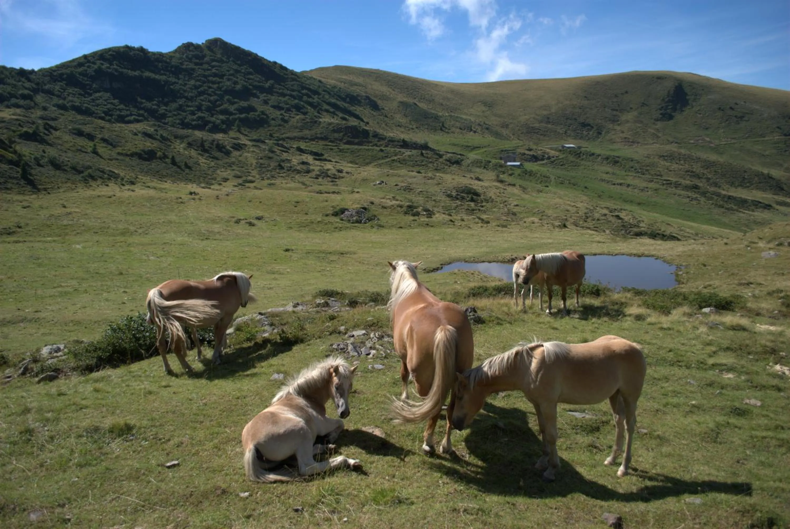 Natural landscape in Albergo Legazzuolo Montecampione