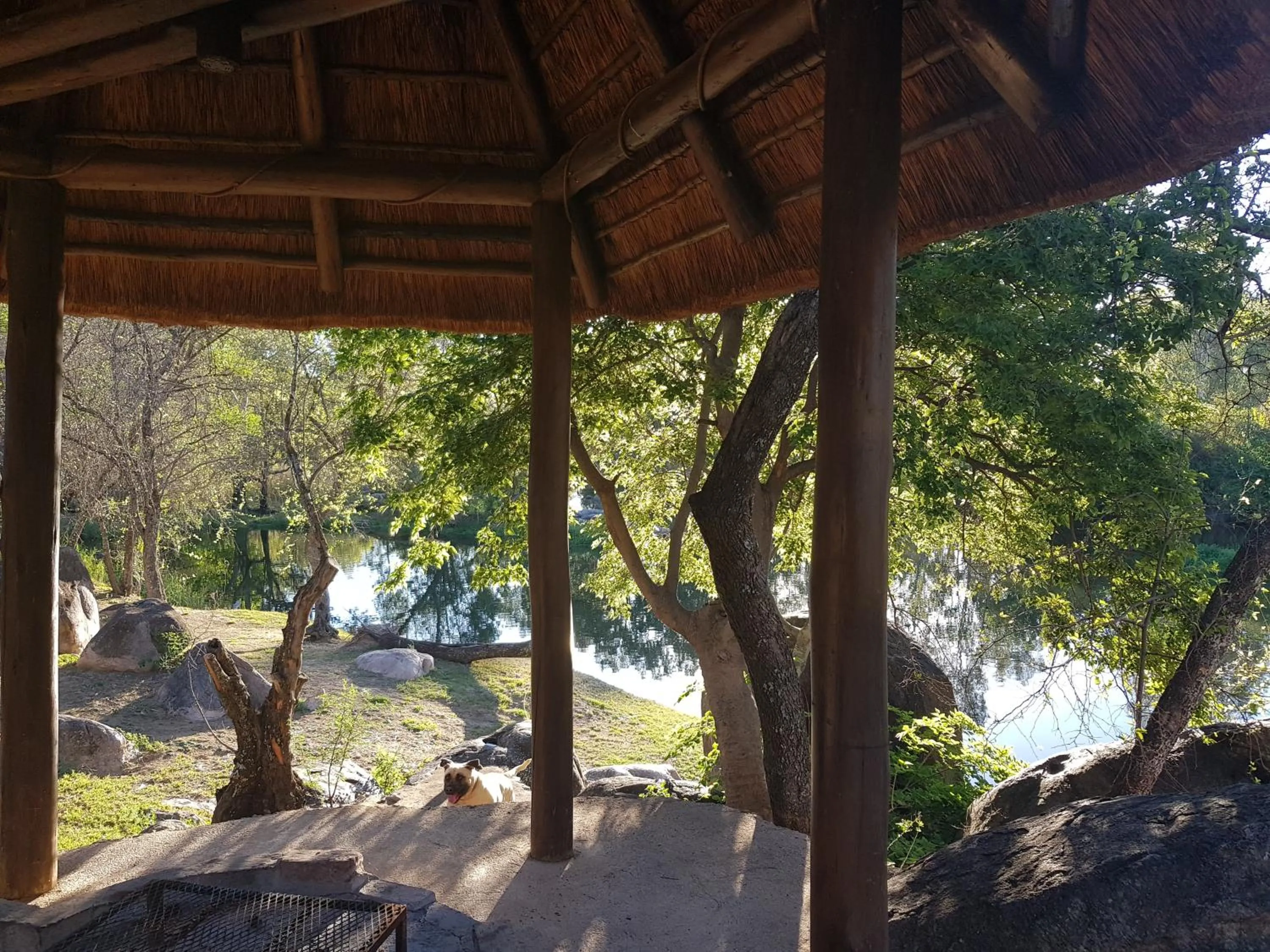 River view in River Rock Lodge