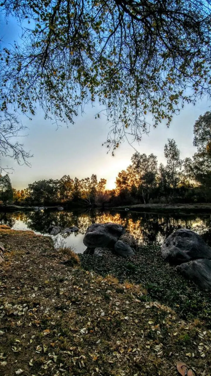 River view in River Rock Lodge
