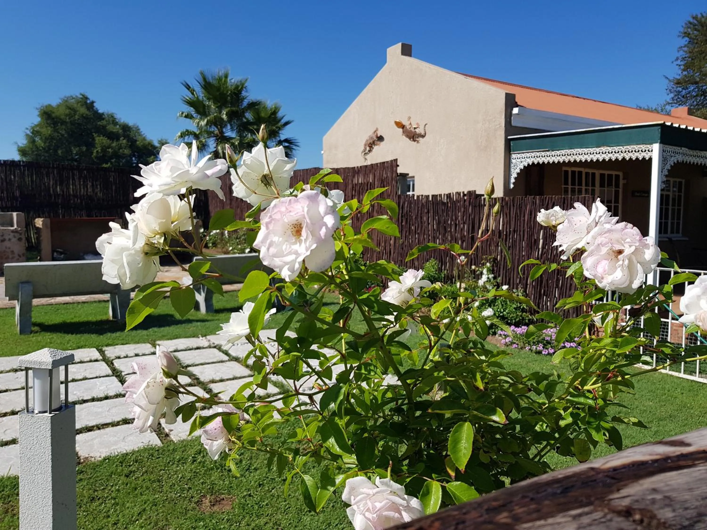 BBQ facilities in River Rock Lodge