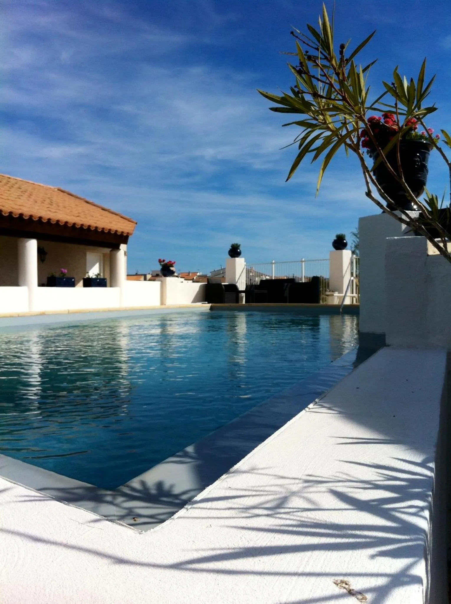 Swimming pool in Le Maset en Camargue