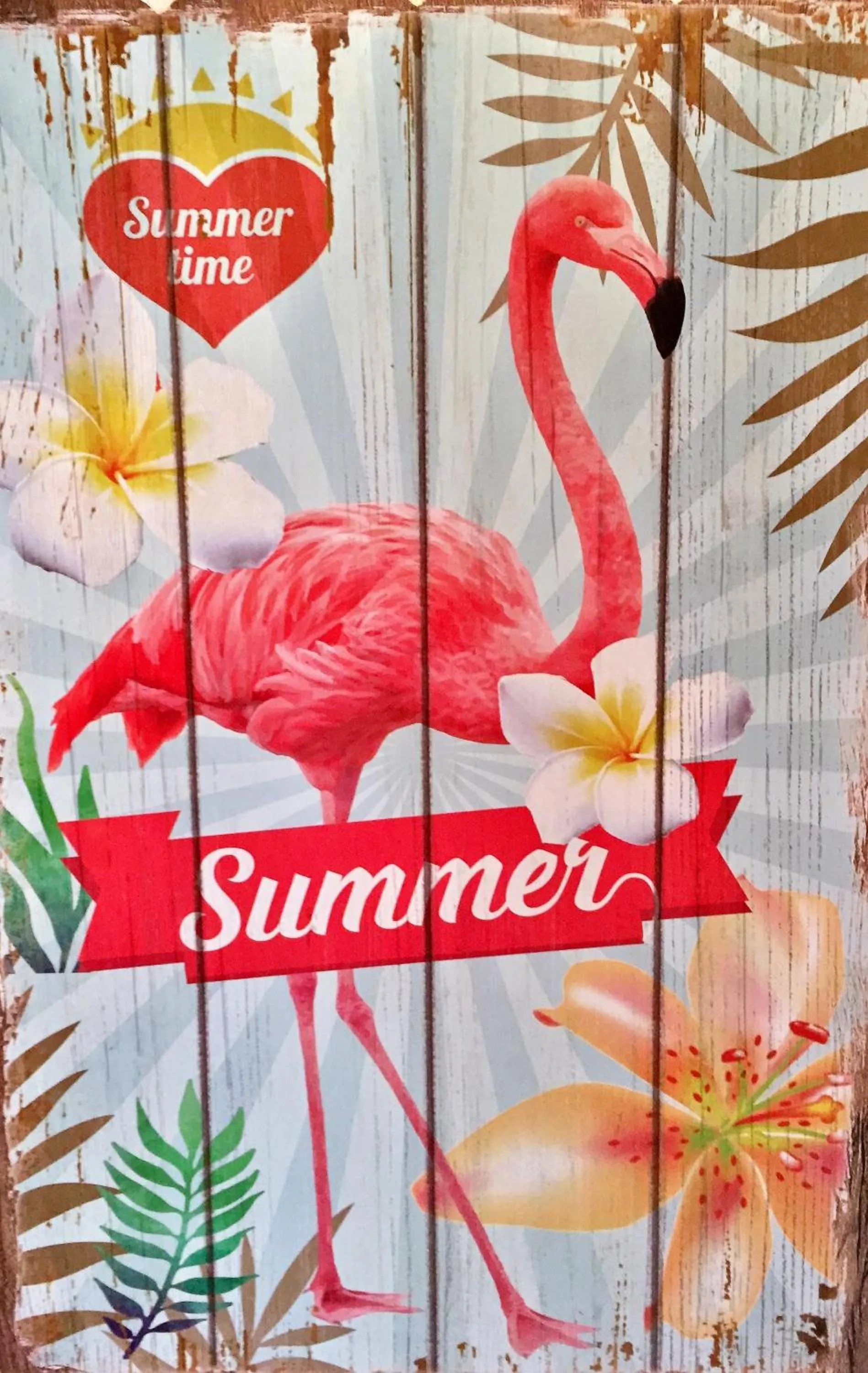 Le Maset en Camargue