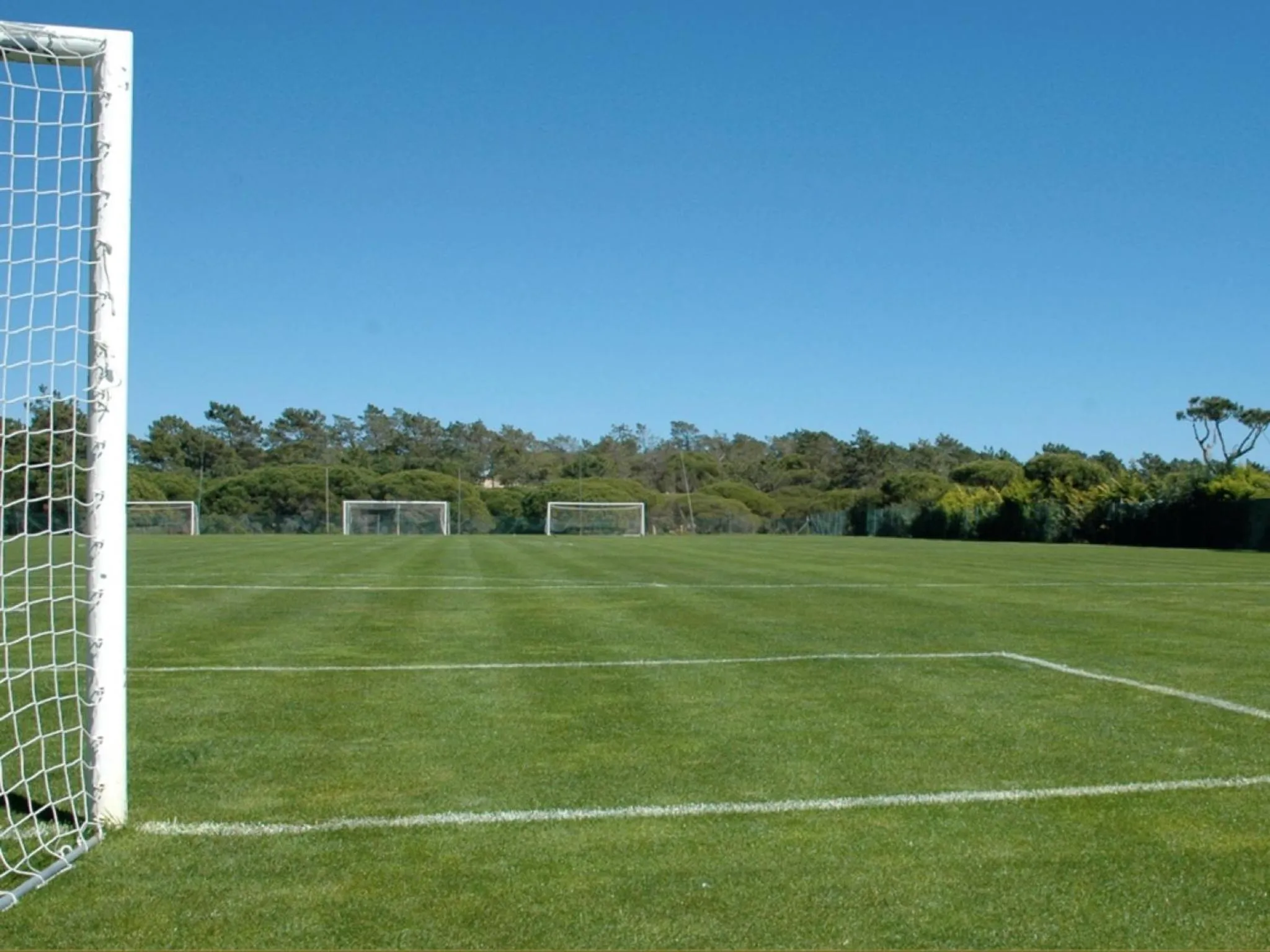 Activities in Ria Park Garden Hotel