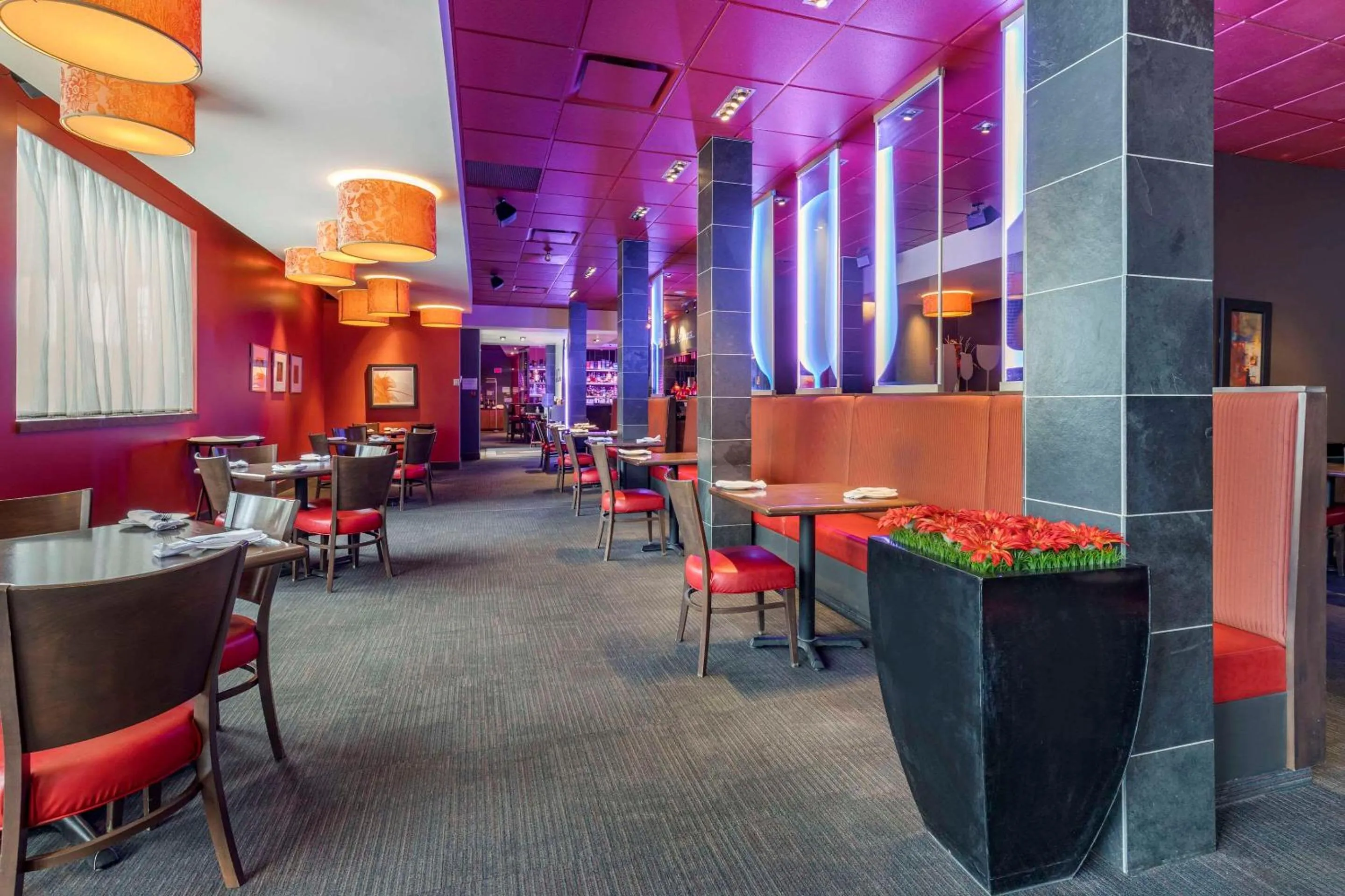 Restaurant/places to eat in Le Noranda Hotel & Spa, an Ascend Collection Hotel