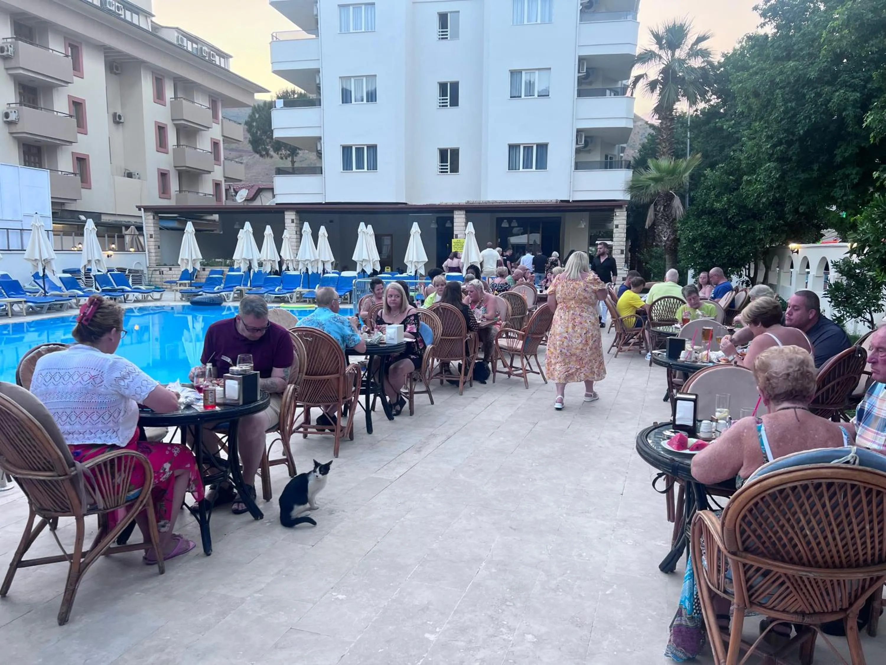 Swimming pool in Private Hotel