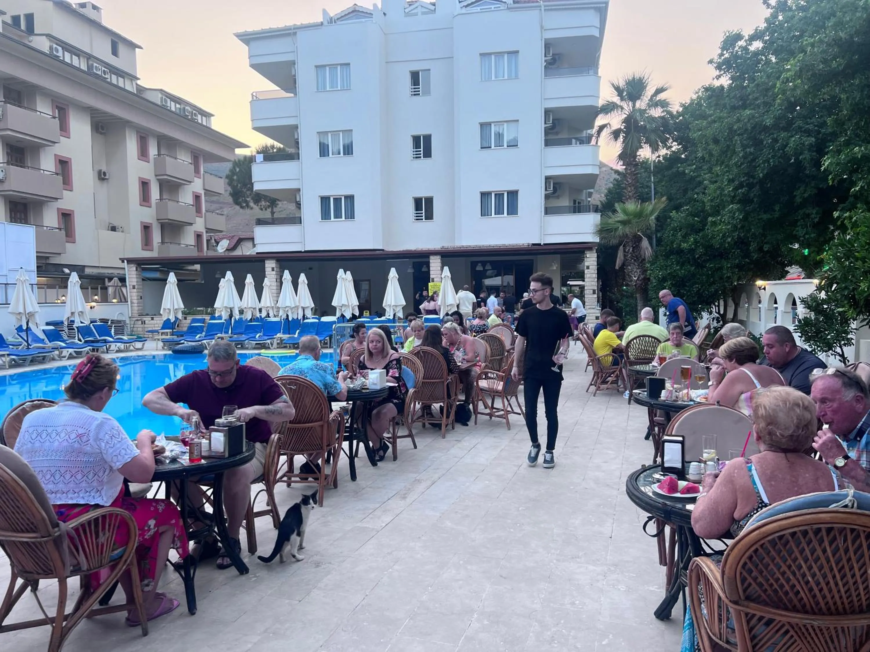 Swimming pool in Private Hotel