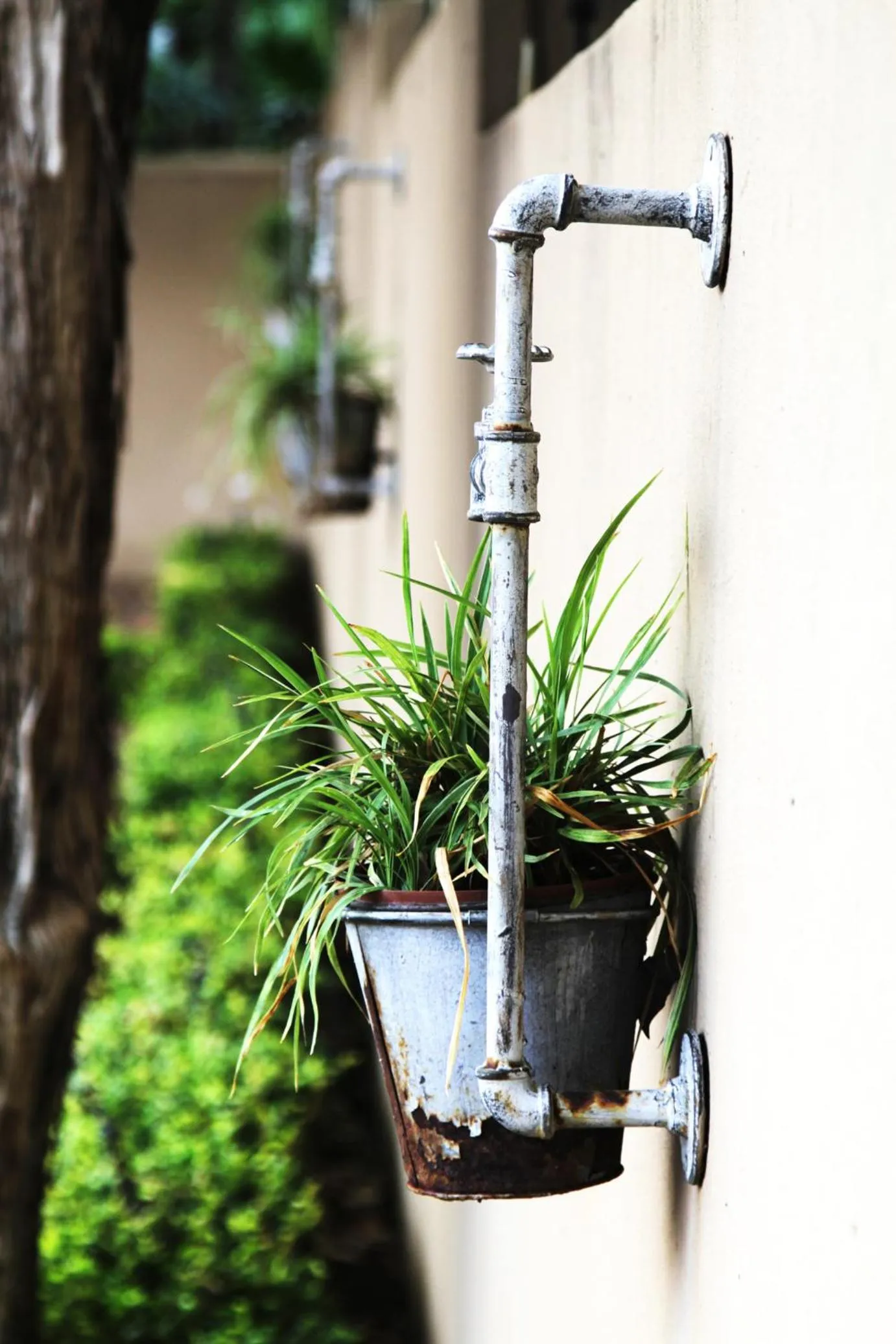 Echo Garden Guesthouse