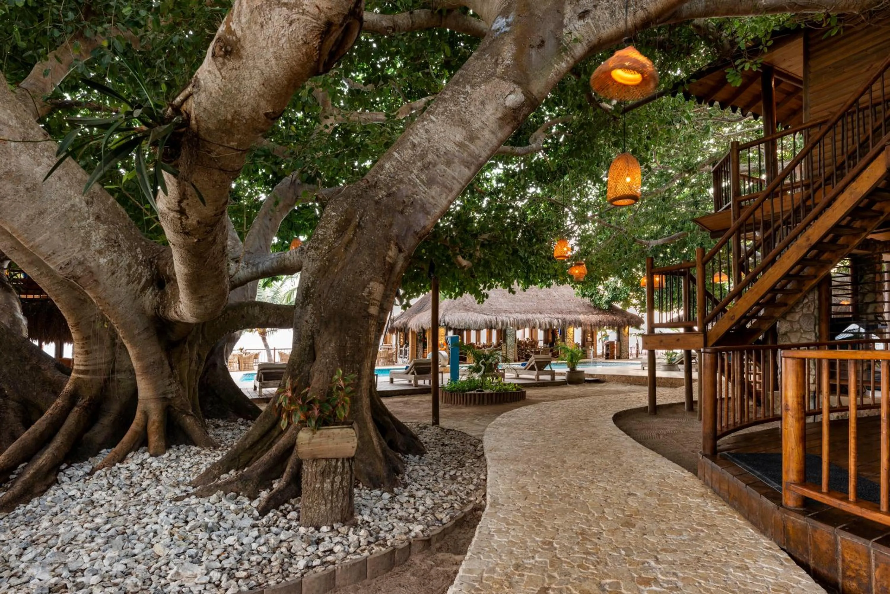 Garden in Hotel Isla del Encanto